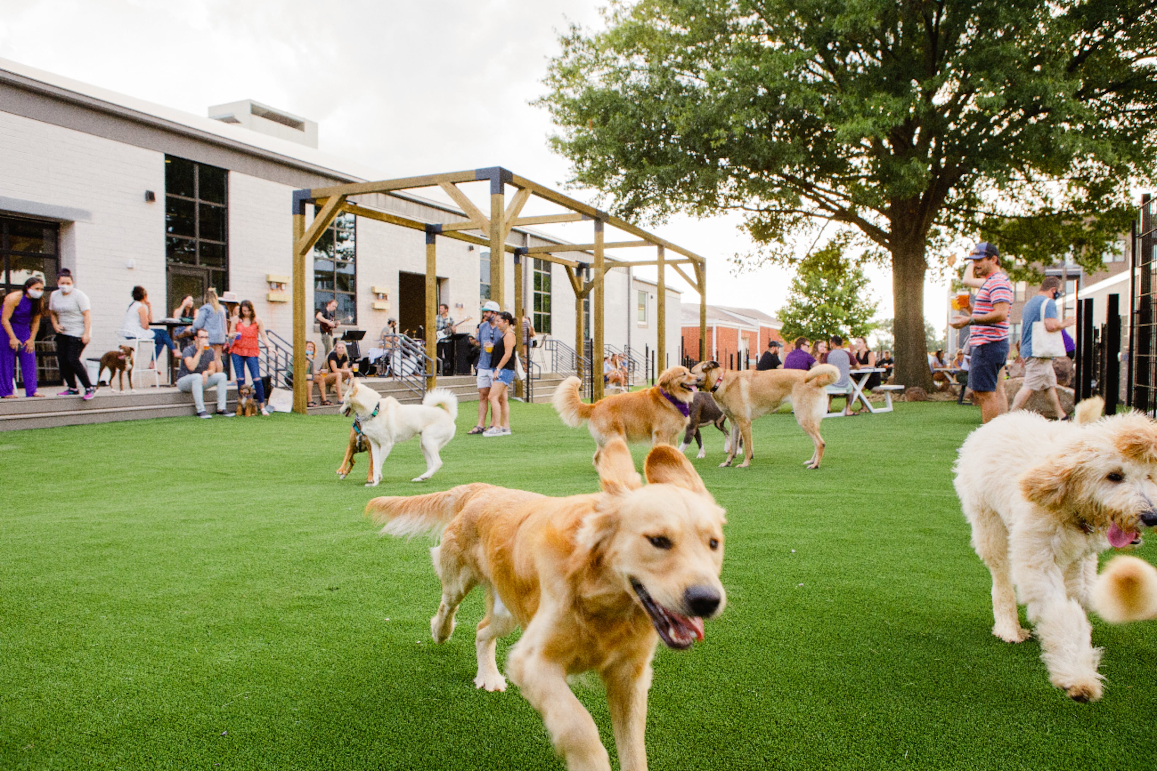 Skiptown, an upscale dog park whose location in Charlotte, N.C., is seen here, has opened in Atlanta’s Kirkwood neighborhood. (Courtesy of Skiptown