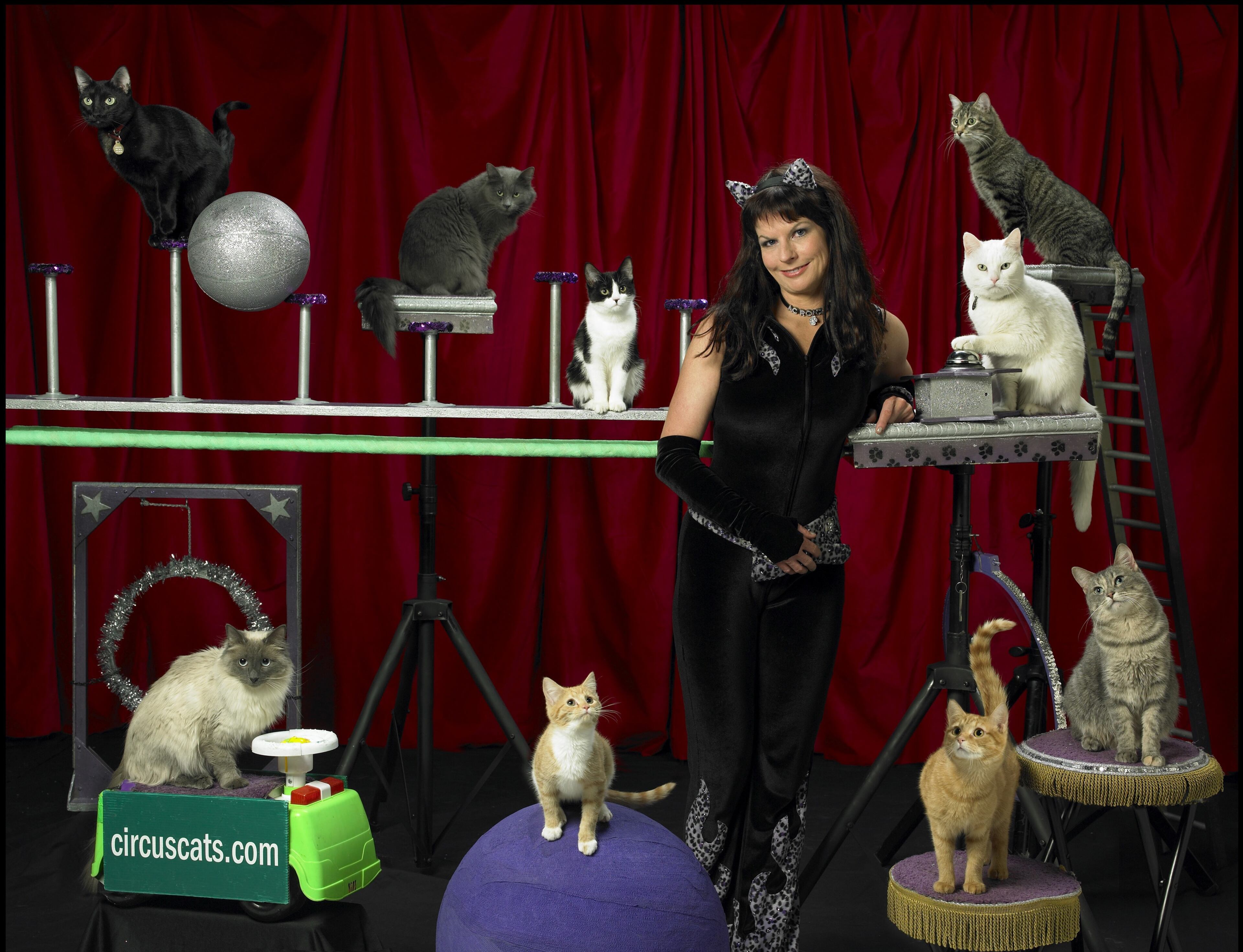 It's a cat circus with an underlying serious purpose. Samantha Martin, shown here with four-legged performers in the Amazing Acro-Cats show, encourages audience members to consider adopting rescue kittens and properly training their own cats at home.