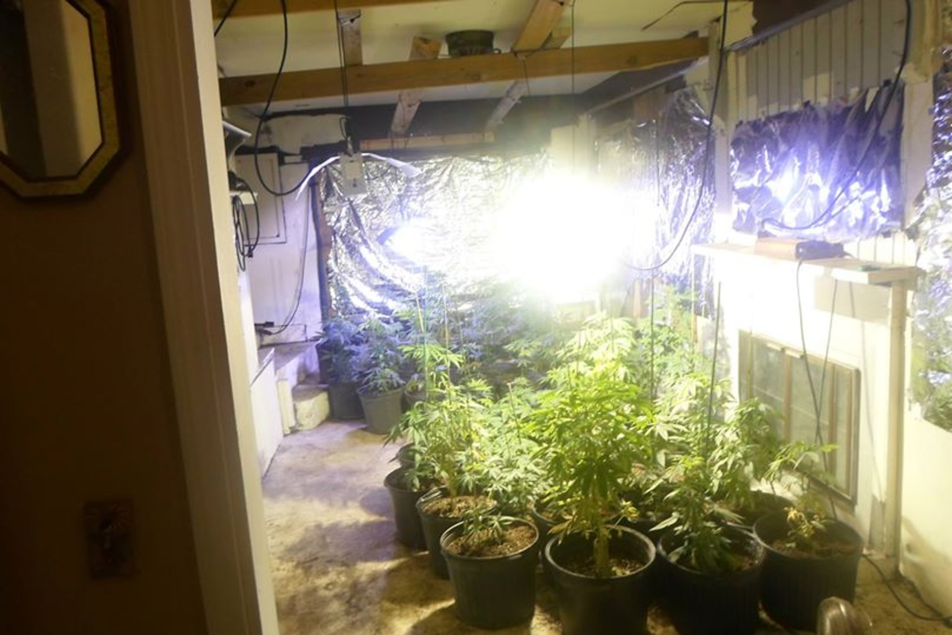 From the Marion County Sheriff’s Office Face Book site: “On January 1, 2014 deputies responded …to a possible Marijuana grow house. Deputies were able to see the plants inside the garage area and notified the Drug Task Force. The Drug Task Force obtained a search warrant for the location and 225 Marijuana Plants were located on the property. The property owner stated that he rents that location to a man named “Jason” but the investigation revealed that “Jason” is Aubrey Lee Price.”