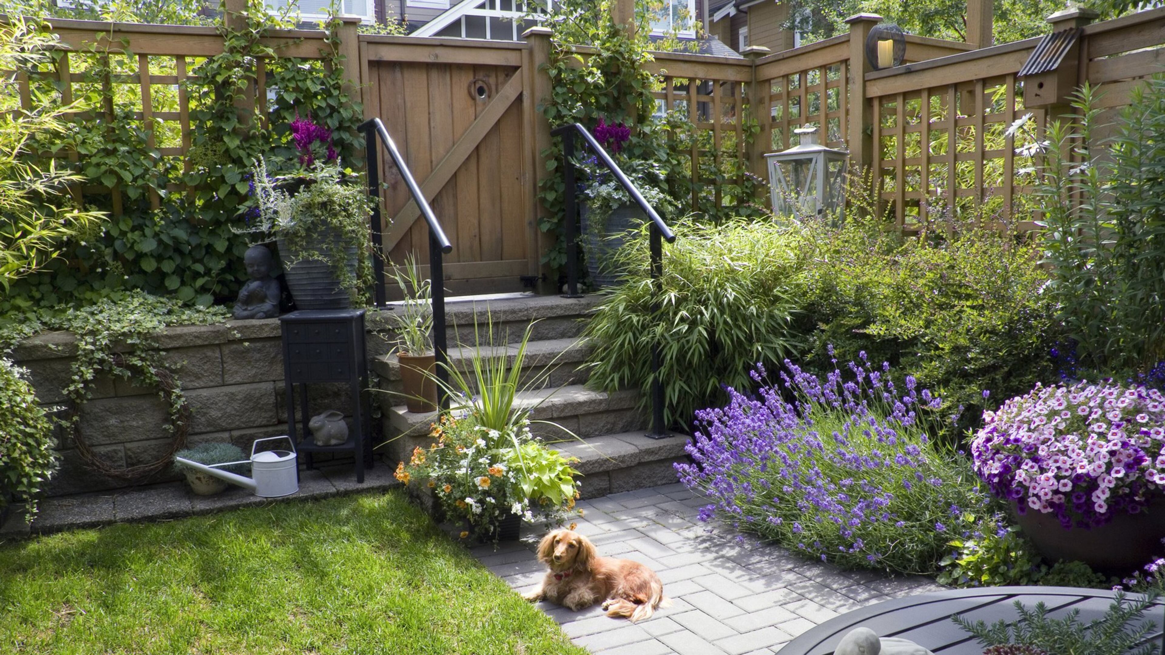 Let ivy roam up the walls of your home s exterior, and plant fragrant roses and, of course, lavender. (Dreamstime)