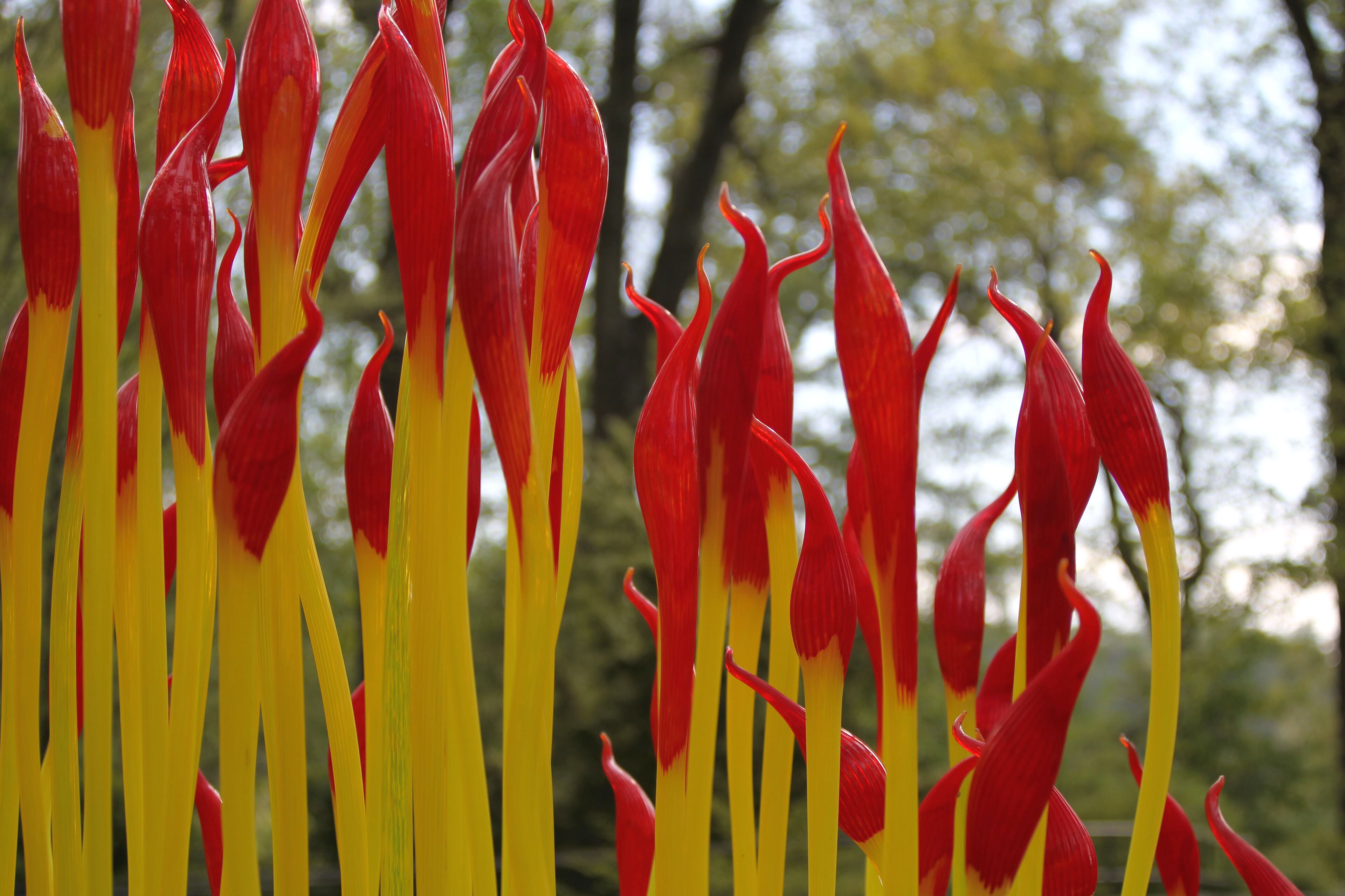 Chihuly's "Fern Dell Paintbrushes" sits in the Atlanta Botanical Gardens. The glass art exhibit featuring 21 glass sculpture installations will open on April 30. TAYLOR CARPENTER / TAYLOR.CARPENTER@AJC.COM