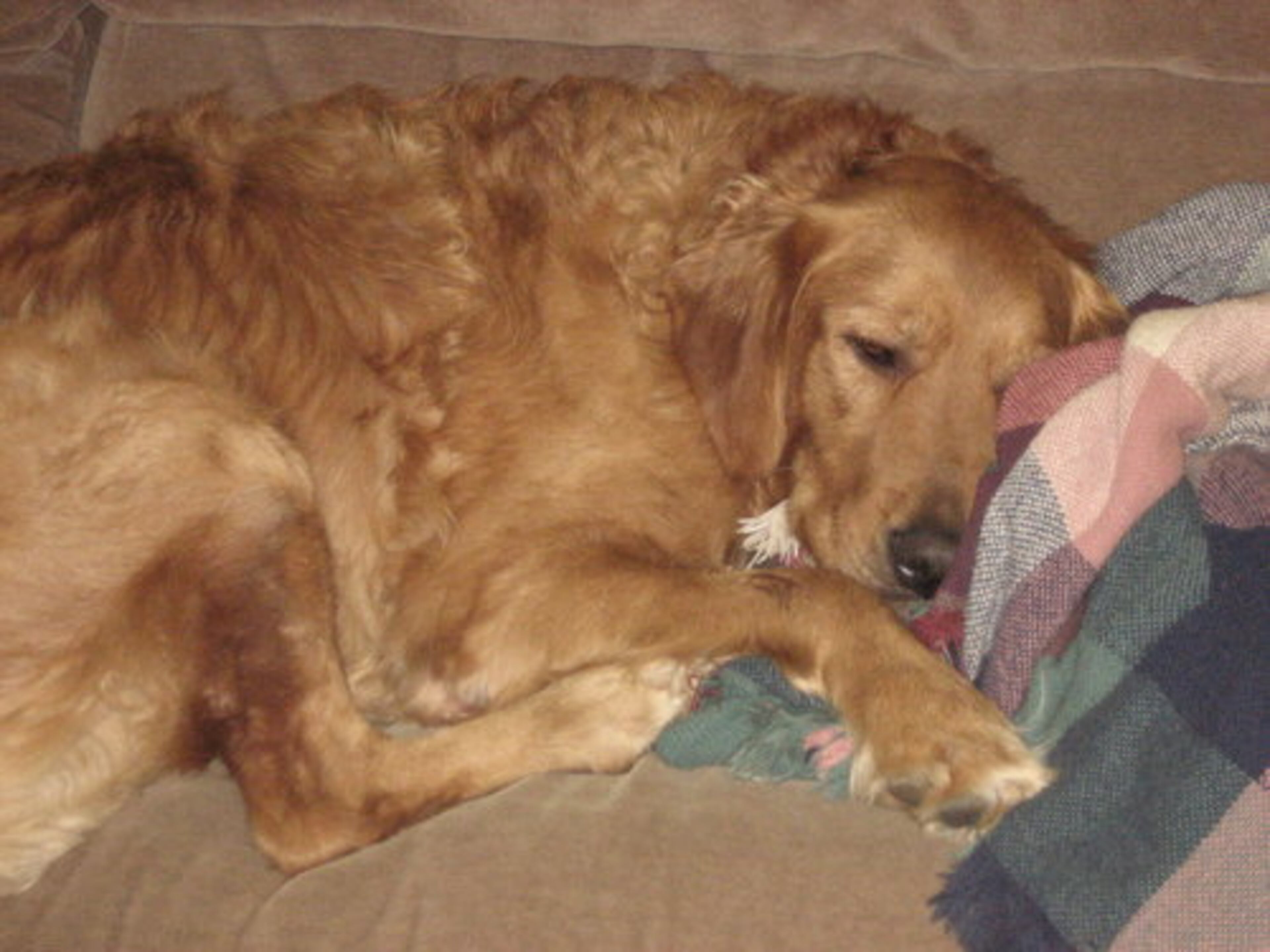 Followed by quality down time.