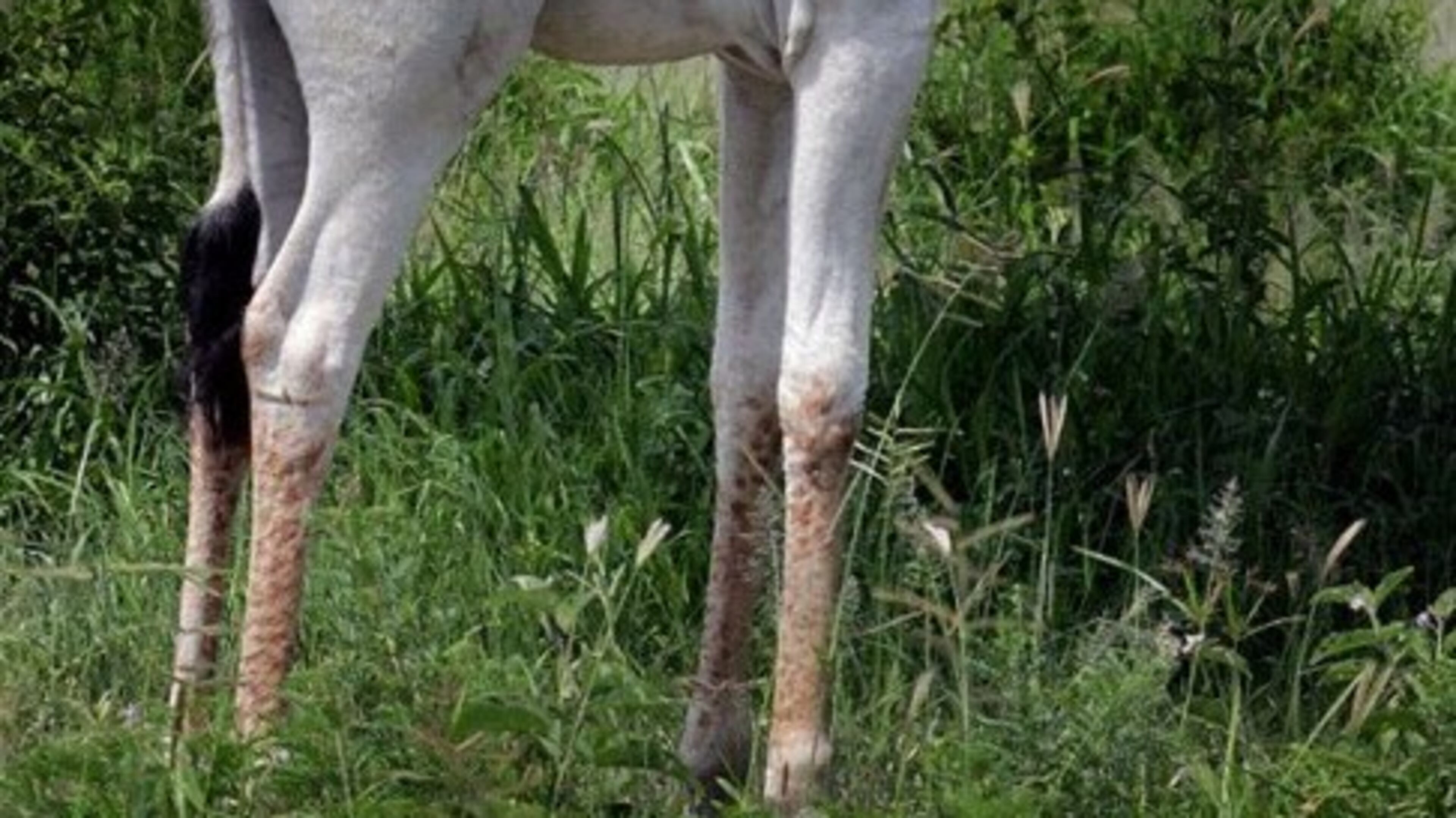 Photo credit: I Love Africa via Facebook