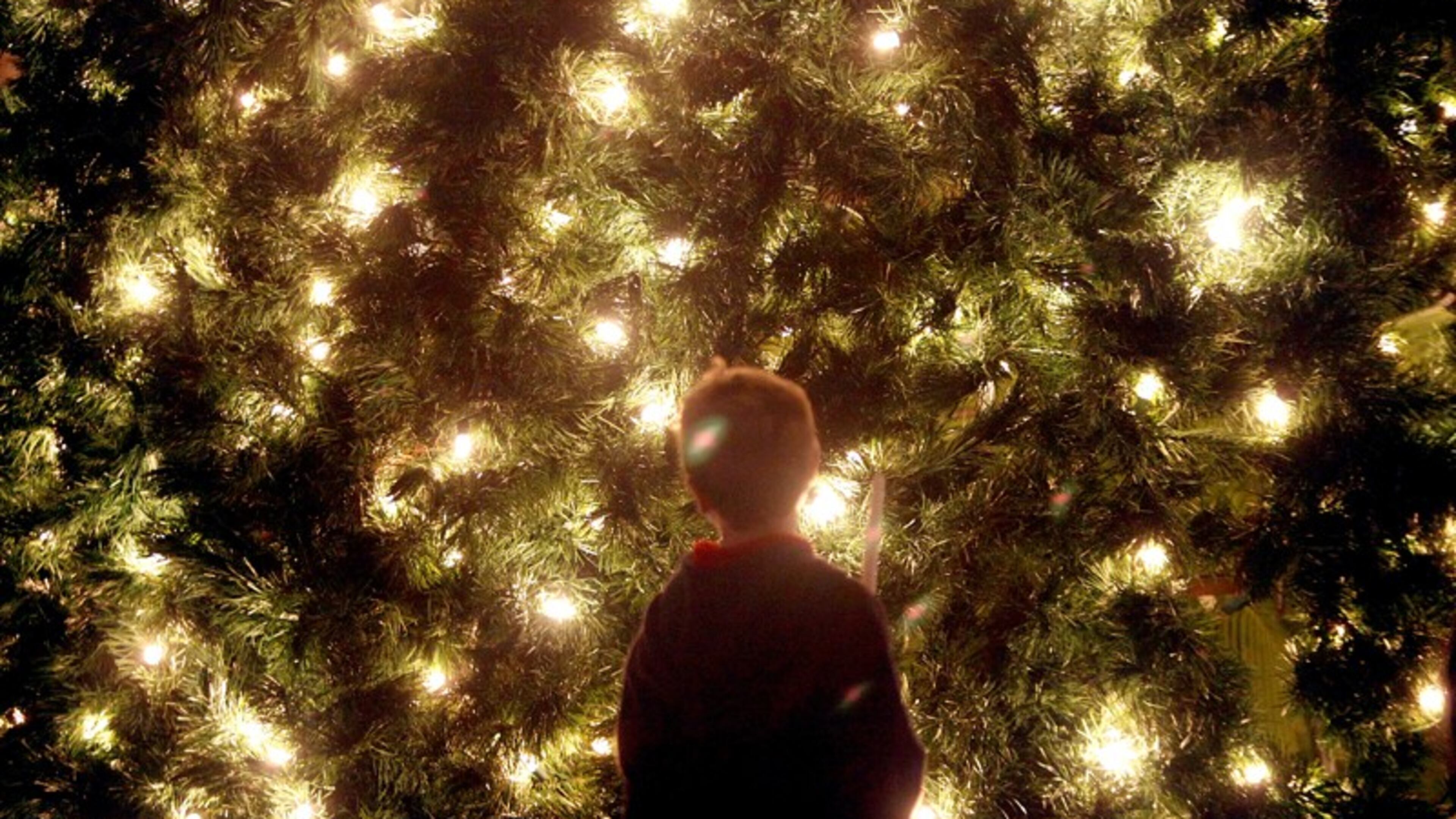 Watch the Mall of Georgia light its annual Christmas tree on Nov. 17.