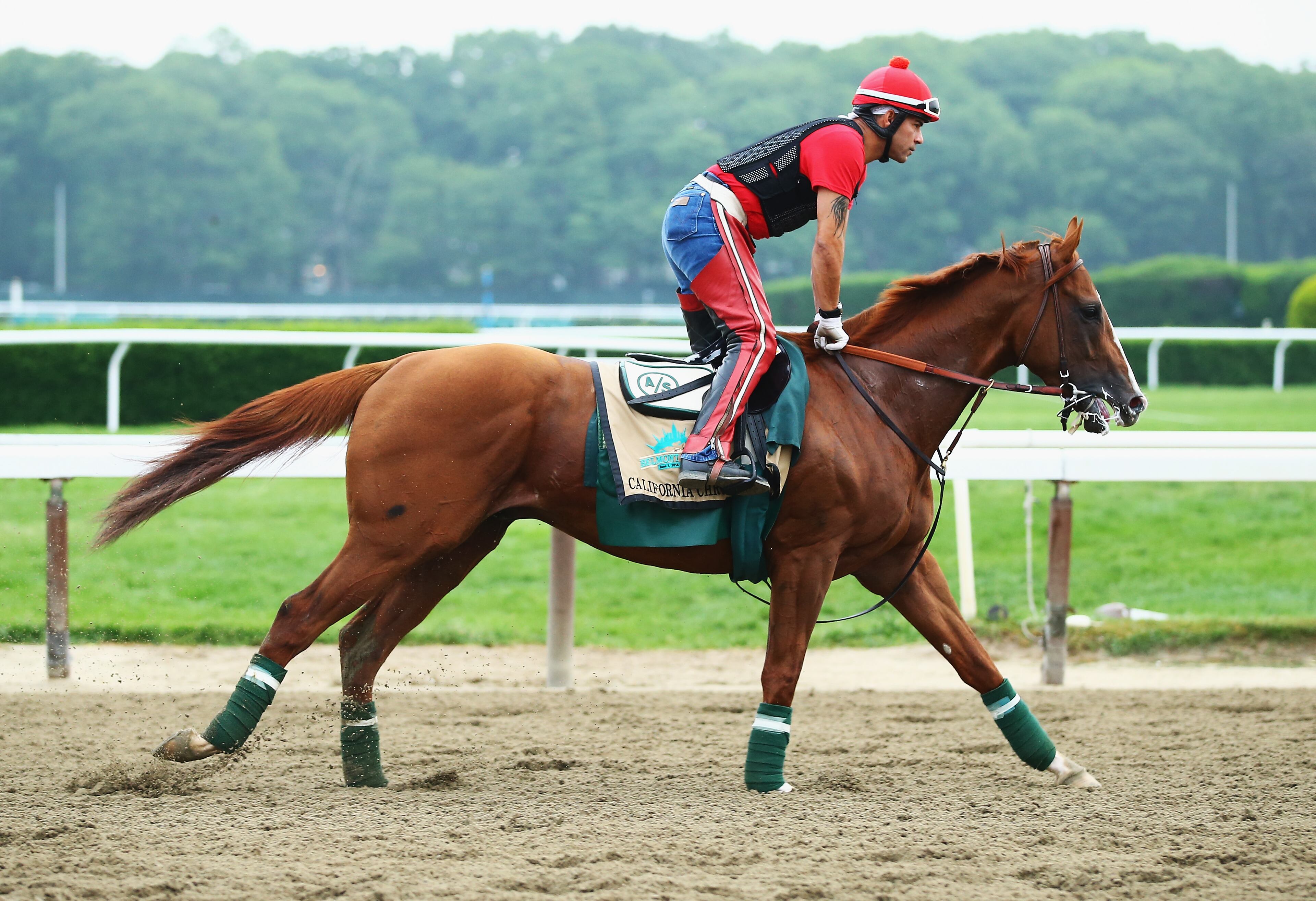 ELMONT, NY - JUNE 04: Kentucky Derby and Preakness winner California Chrome, with exercise rider Willie Delgado up, trains on the main track at Belmont Park on June 4, 2014 in Elmont, New York He is scheduled to race for the Triple Crown in the 146th running of the Belmont Stakes (Photo by Al Bello/Getty Images)