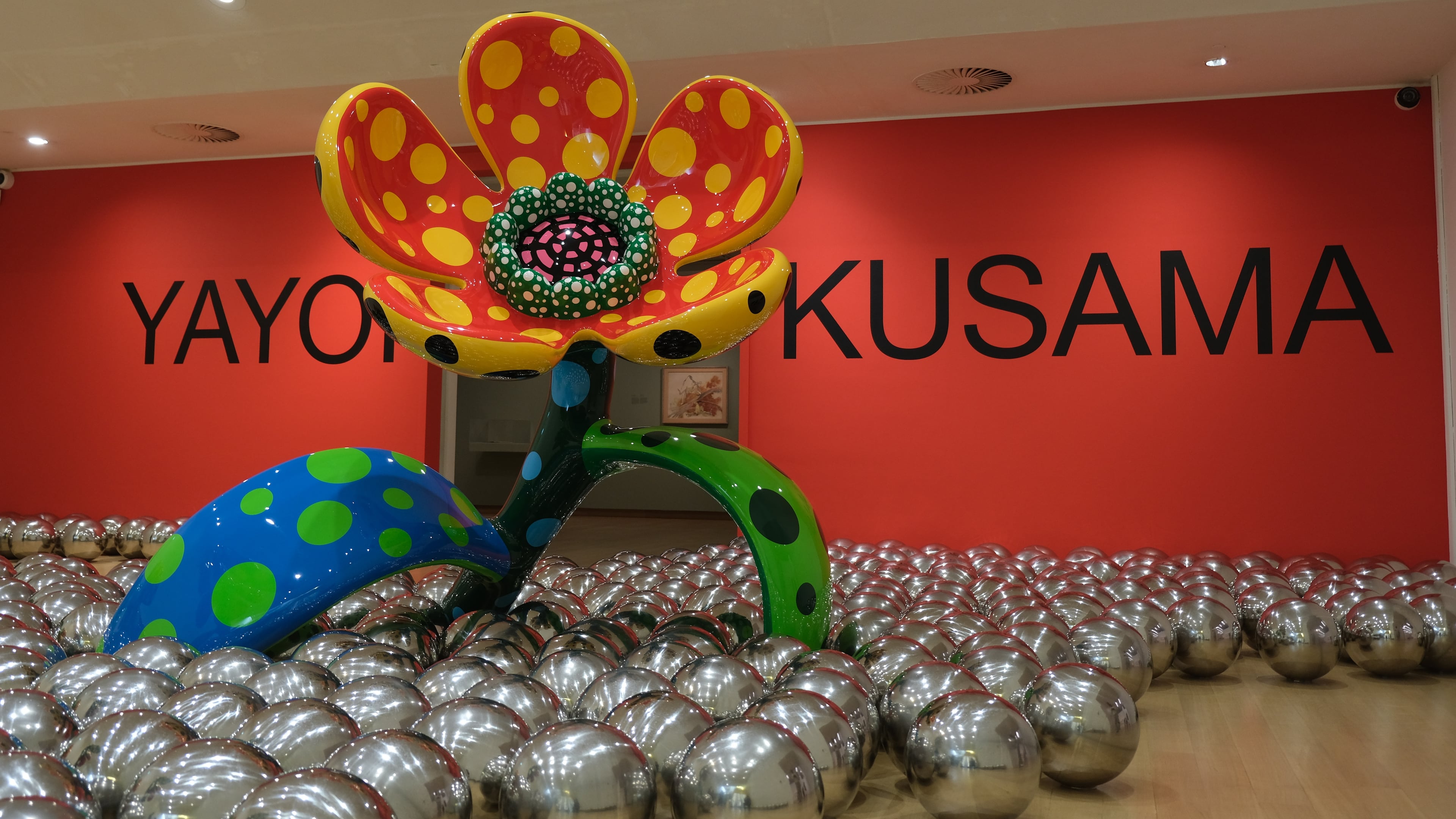 Flowers and reflective balls are seen at a major retrospective of works by recently deceased Japanese artist Yayoi Kusama at the Stedelijk Museum in Amsterdam, Wednesday, Sept. 9, 2026. (AP Photo/Mike Corder)