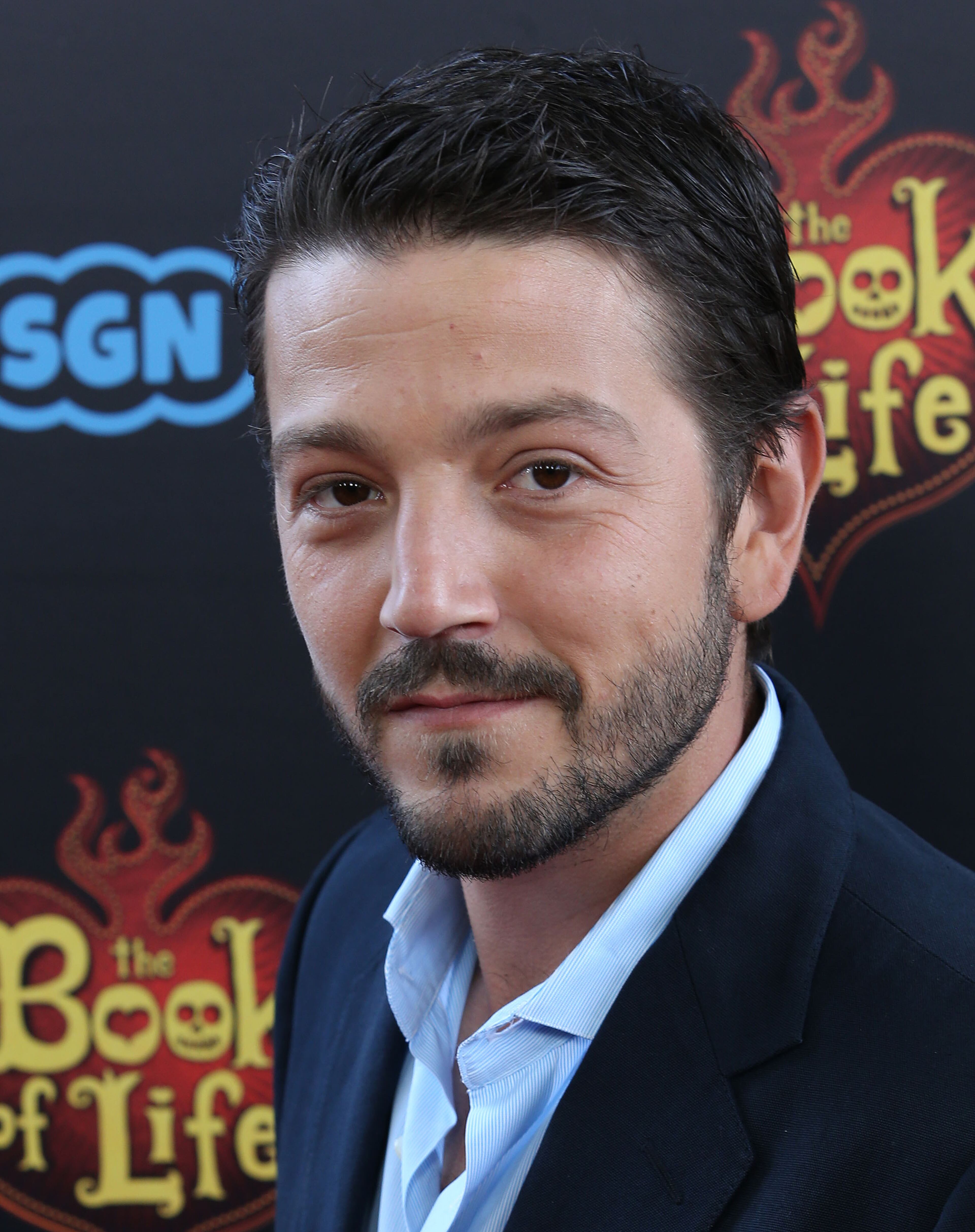 LOS ANGELES, CA - OCTOBER 12: Actor Diego Luna attends the Premiere of Twentieth Century Fox and Reel FX Animation Studois' "The Book of Life" at the Regal Cinemas L.A. Live on October 12, 2014 in Los Angeles, California. (Photo by Frederick M. Brown/Getty Images)