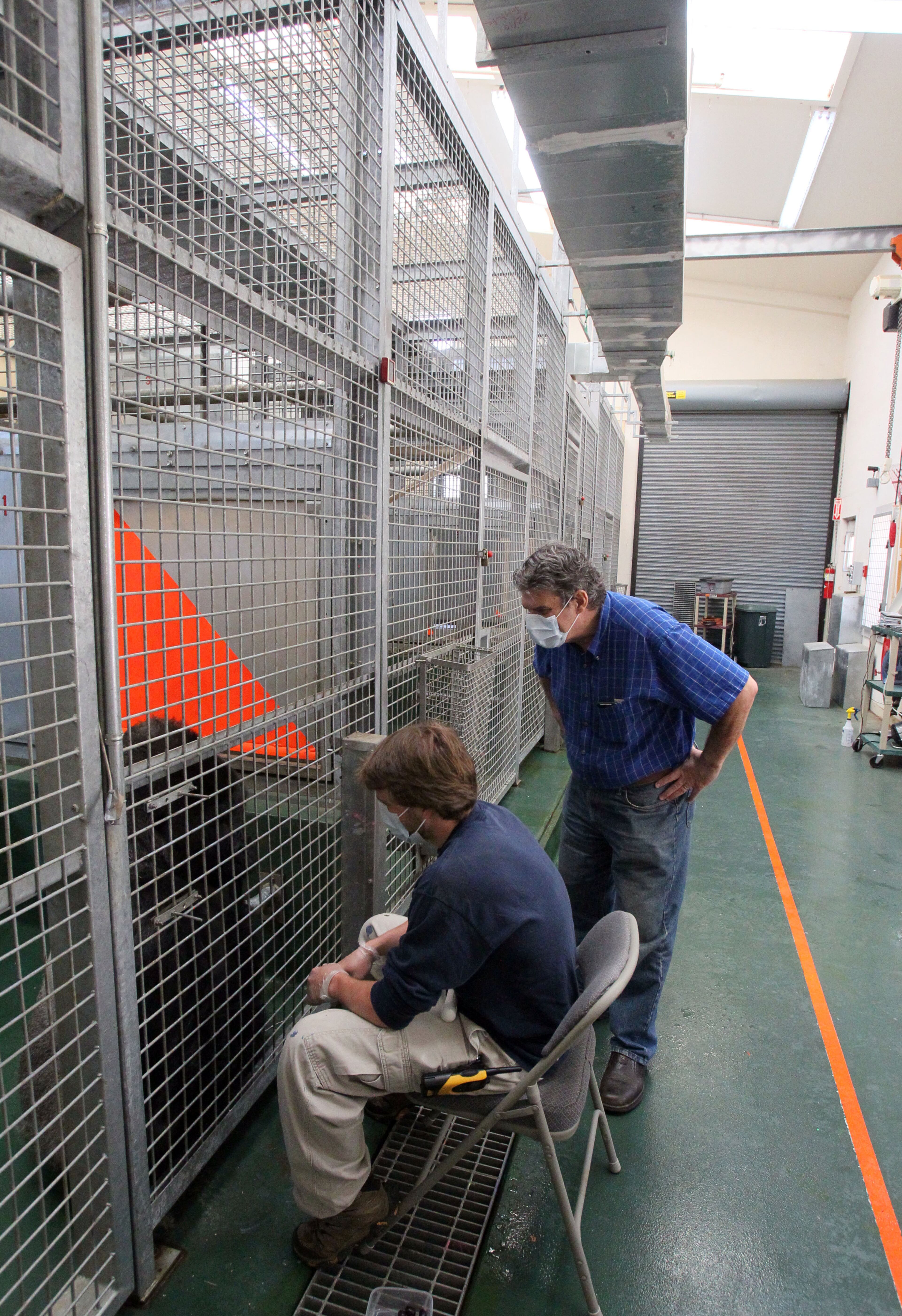 Steuart Dewar (right) watches Zoo Atlanta's Bobby Fellows work with Kidogo.