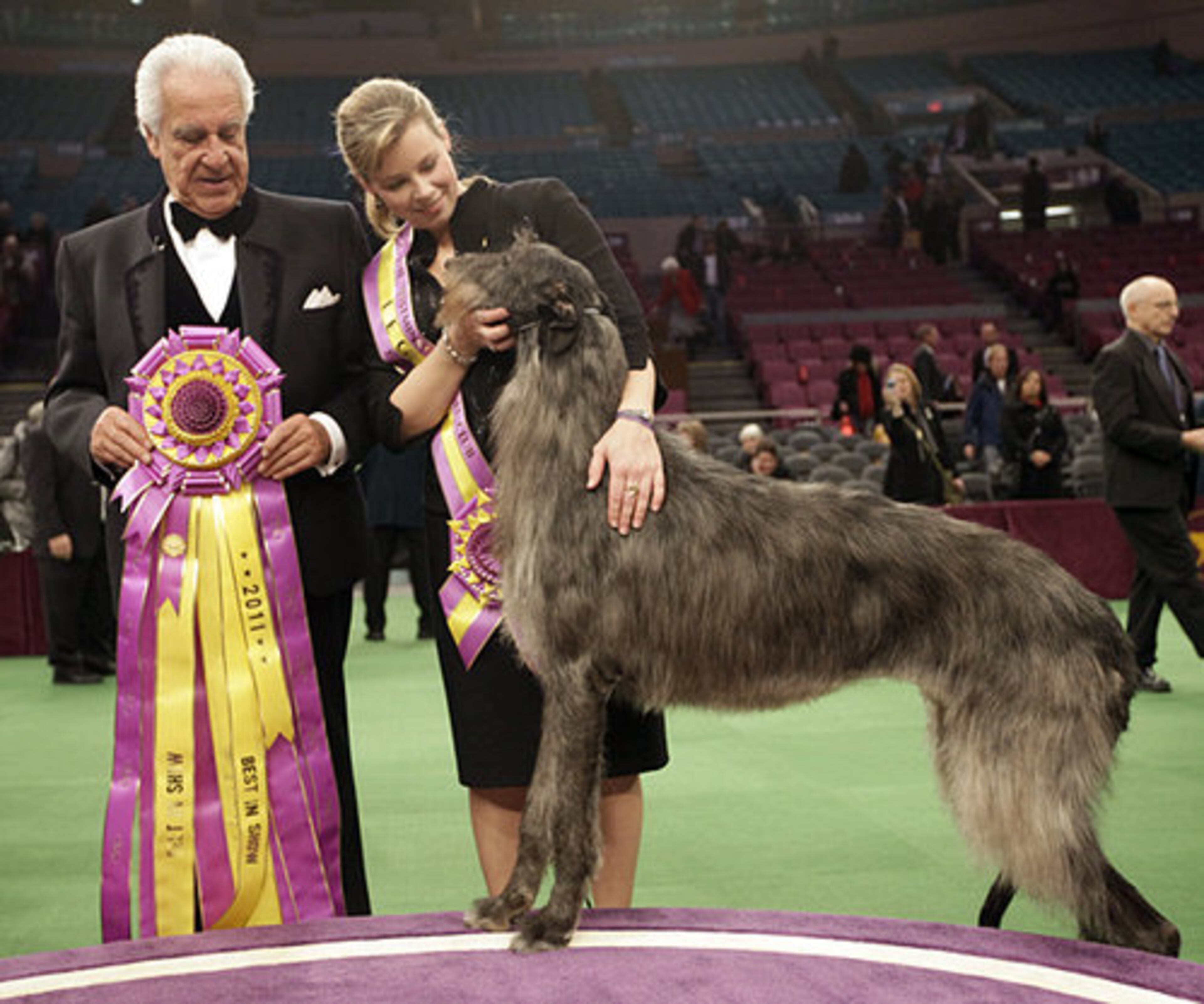 Scottish deerhound Hickory poses for photographers with his handler Angela Lloyd, right, and judge Paolo Dondina after Hickory won best in show during the 135th Westminster Kennel Club Dog Show Tuesday, Feb. 15, 2011, at Madison Square Garden in New York.