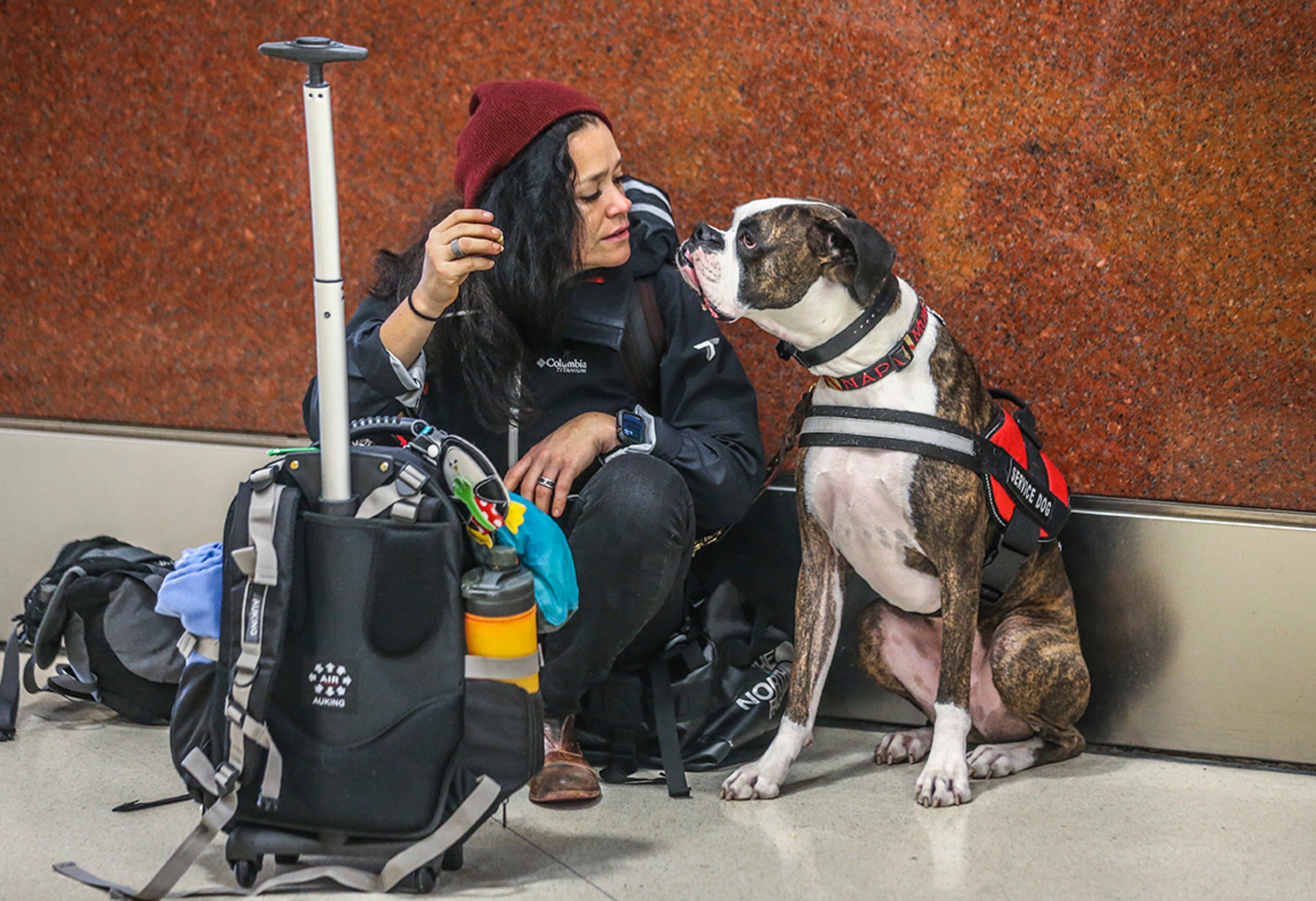 December 20, 2019 Hartsfield-Jackson International Airport : Martha Diaz and dog Lucas were Columbia bound for the holidays on Friday, Dec. 20, 2019 at Hartsfield-Jackson International Airport. The Transportation Security Administration will screen some 42 million passengers at airport security checkpoints nationwide over the holiday travel season that began Dec. 19 and runs through Jan. 5. The forecast for crowds going through airports during that period is up 3.9 percent from a year ago and averages 2.6 million passengers a day. Travelers should allow extra time to get through security screening and ensure that they donââ¬â¢t bring prohibited liquids, weapons or other restricted items through checkpoints. The busiest days are expected to be Friday Dec. 20, Saturday Dec. 21, Friday Dec. 27 and Thursday Dec. 26. The least busy days are expected to be Christmas Eve, New Yearââ¬â¢s Eve and Christmas Day. The busiest day on record nationally for the Transportation Security Administration was Dec. 1 this year, the Sunday after Thanksgiving, when TSA screened more than 2.8 million travelers. JOHN SPINK/JSPINK@AJC.COM