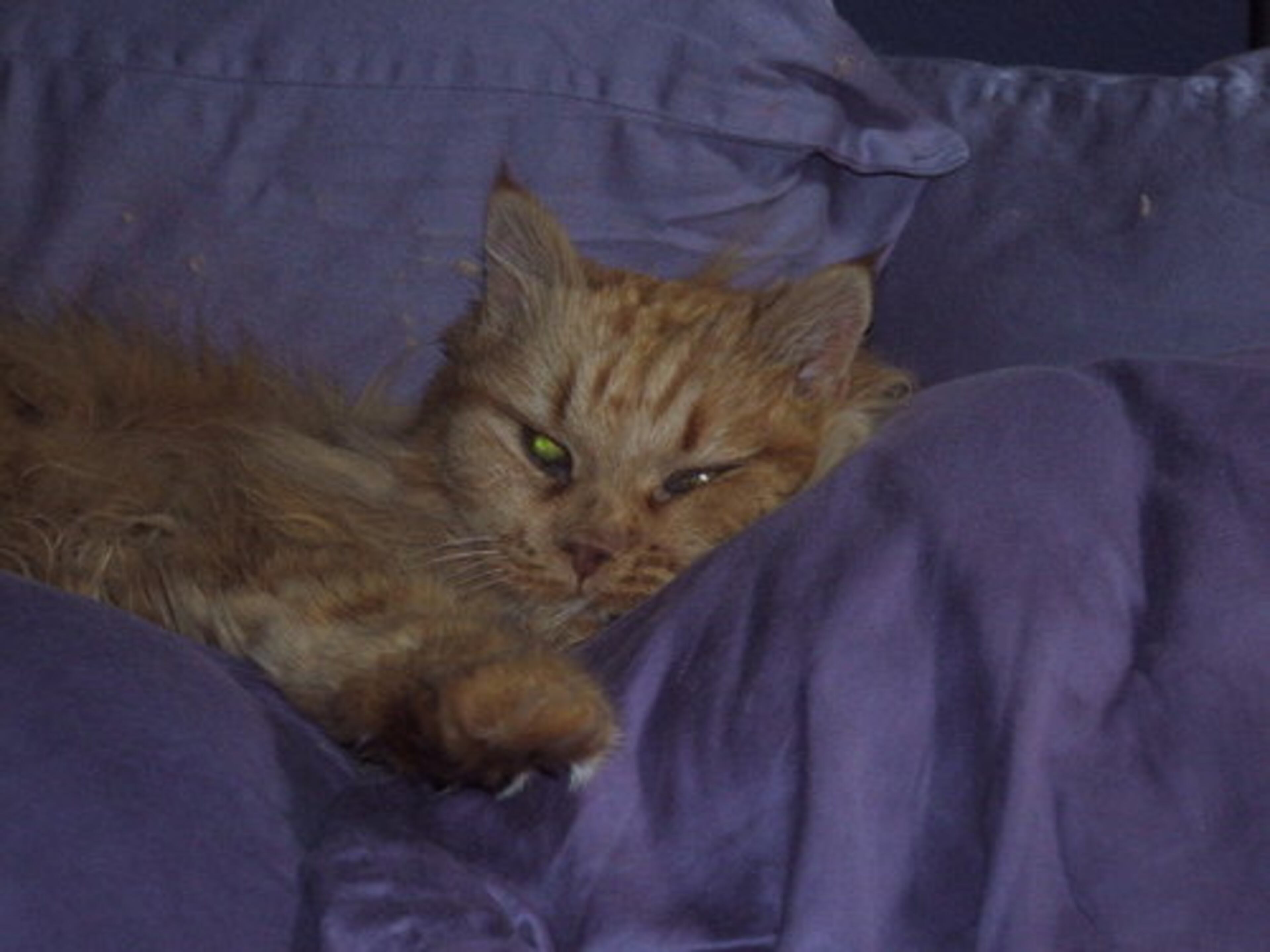 Behold the queen in her royal bed chamber!