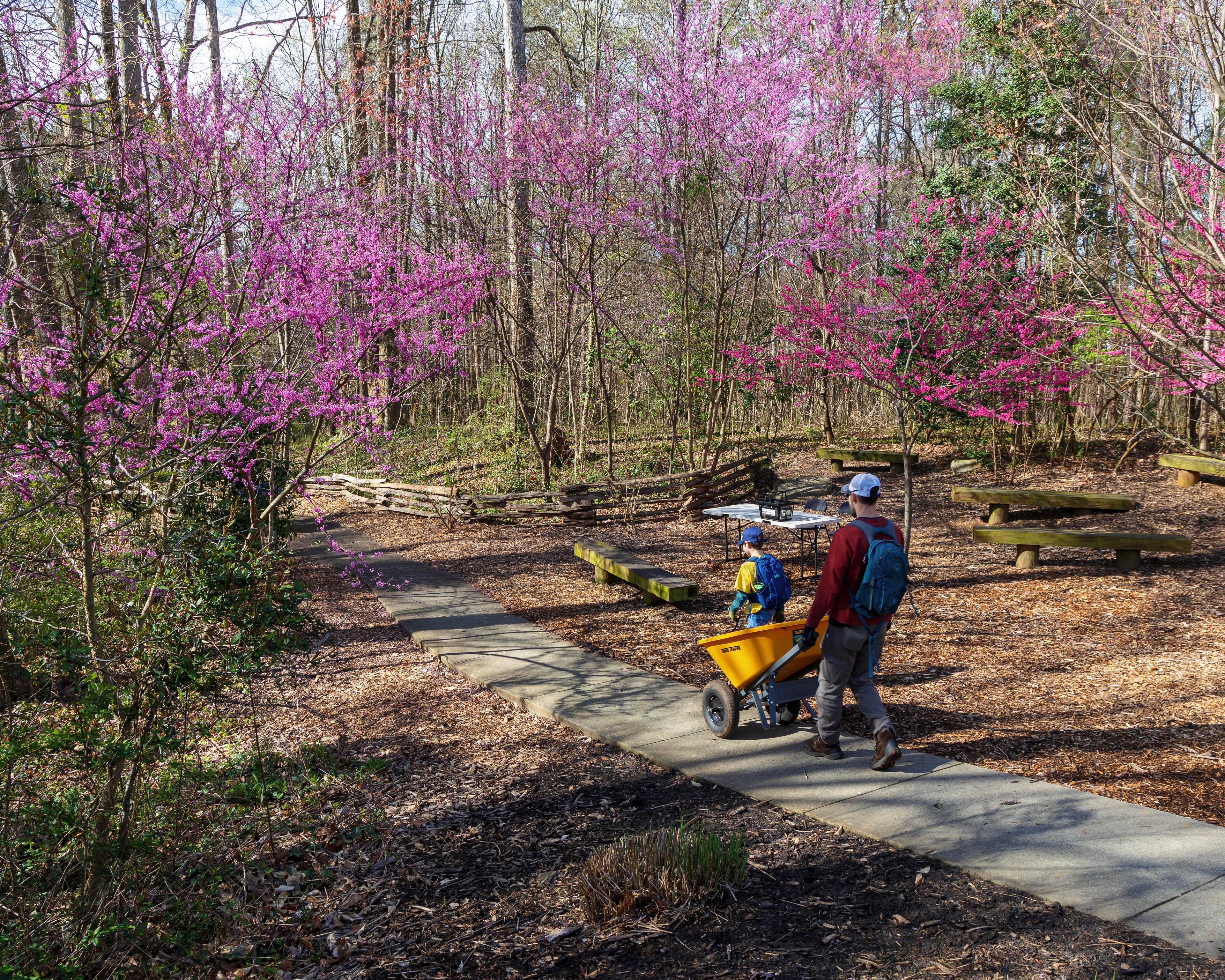 Take a Sandy Springs Nature Conservancy walk through the John Ripley Forbes Big Trees Forest Preserve on Saturday. (Courtesy of Wes Smith)