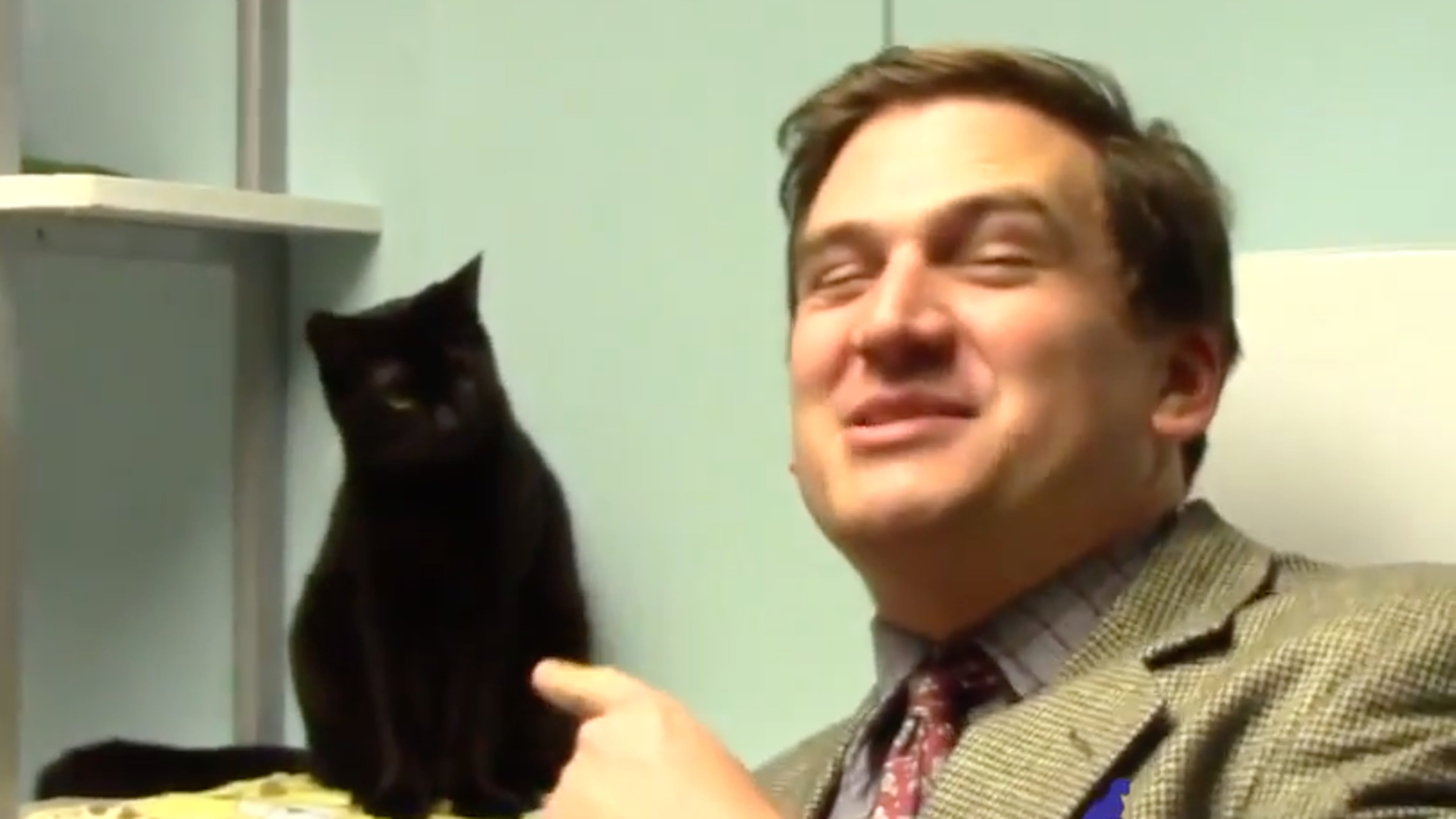 Like midnight inside a coffin!