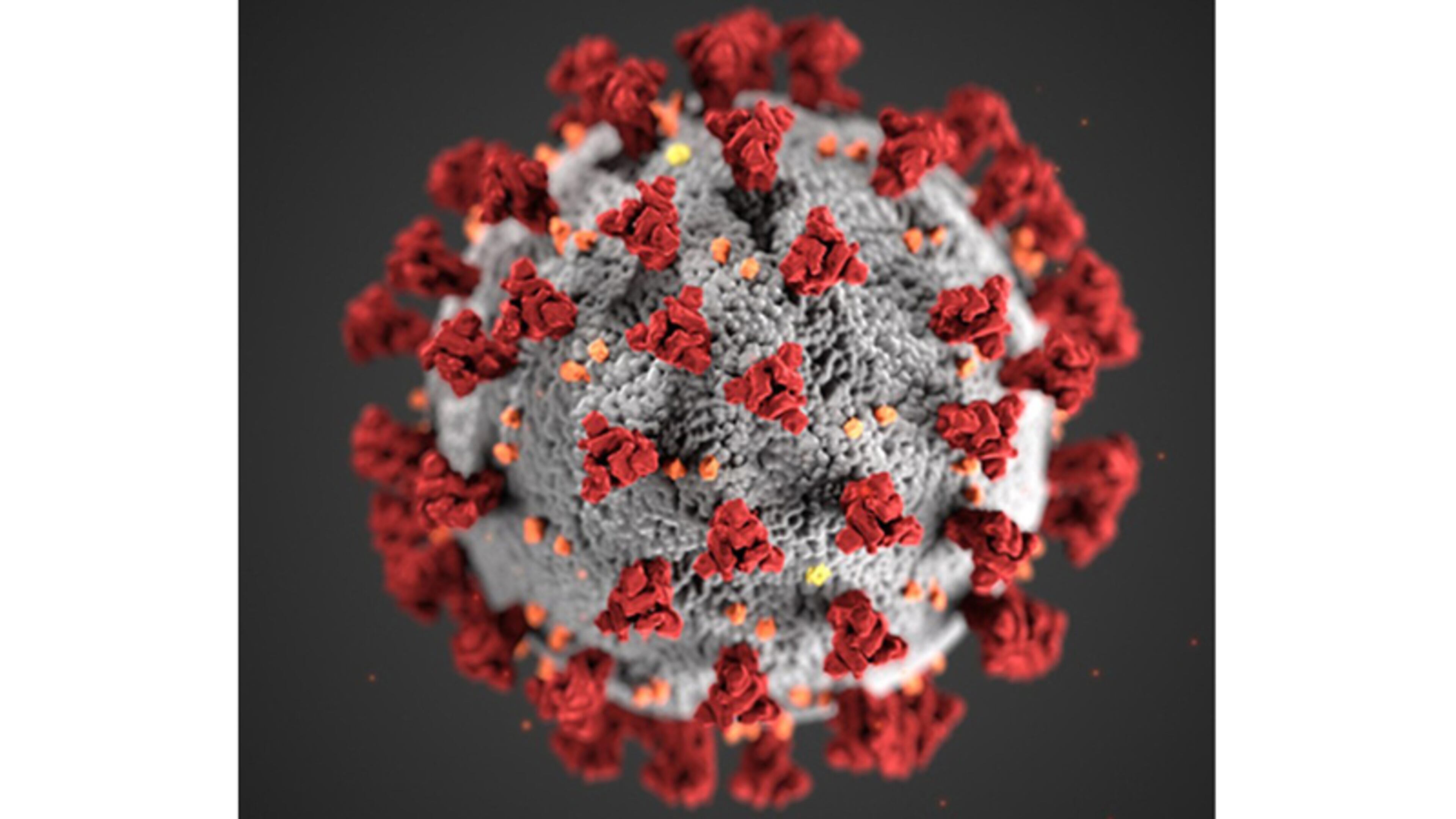 Residents should avoid gatherings of 10 or more people due to the COVID-19 threat, the Forsyth County chairman says. CDC