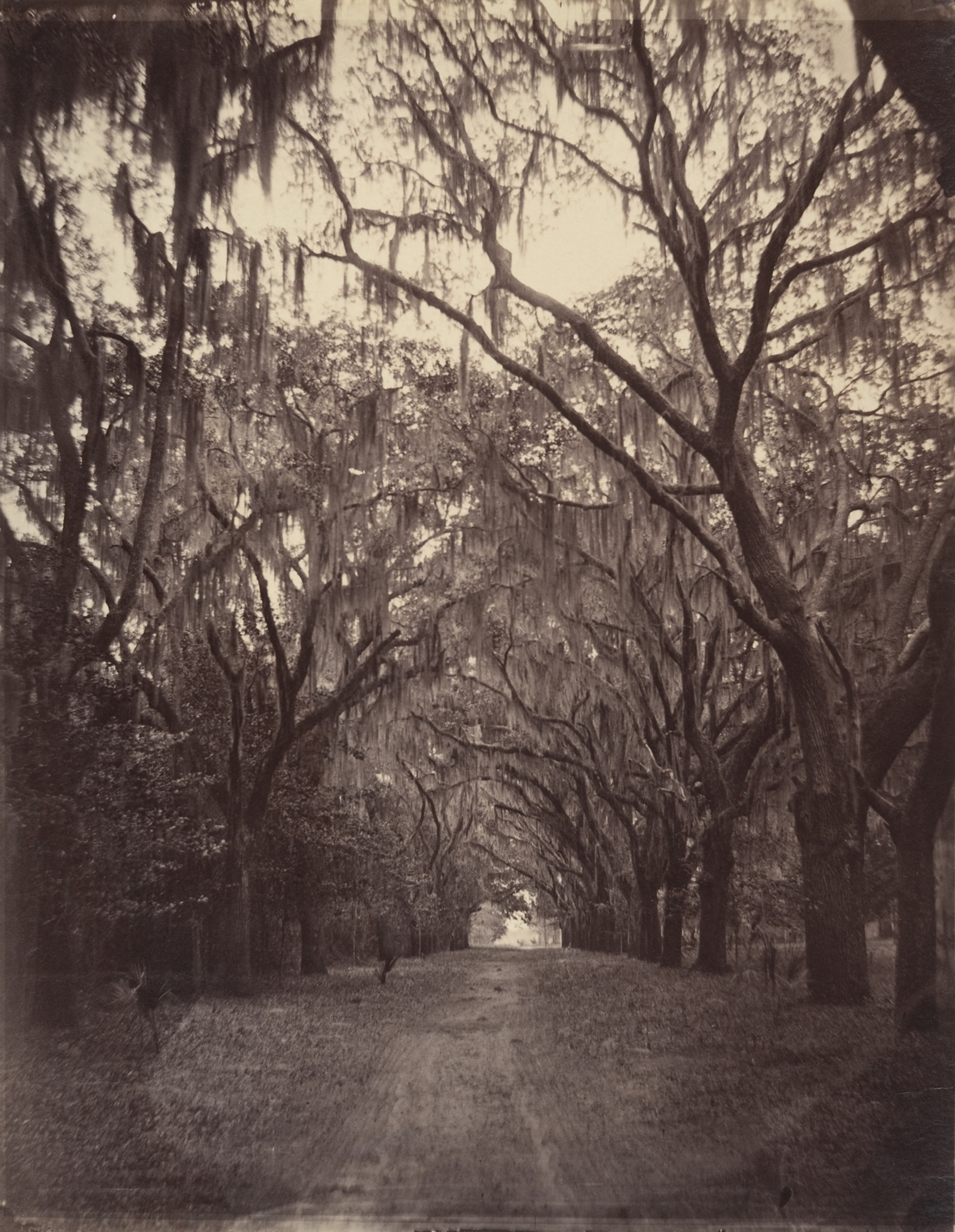 Bonaventure Cemetery, Four Miles from Savannah