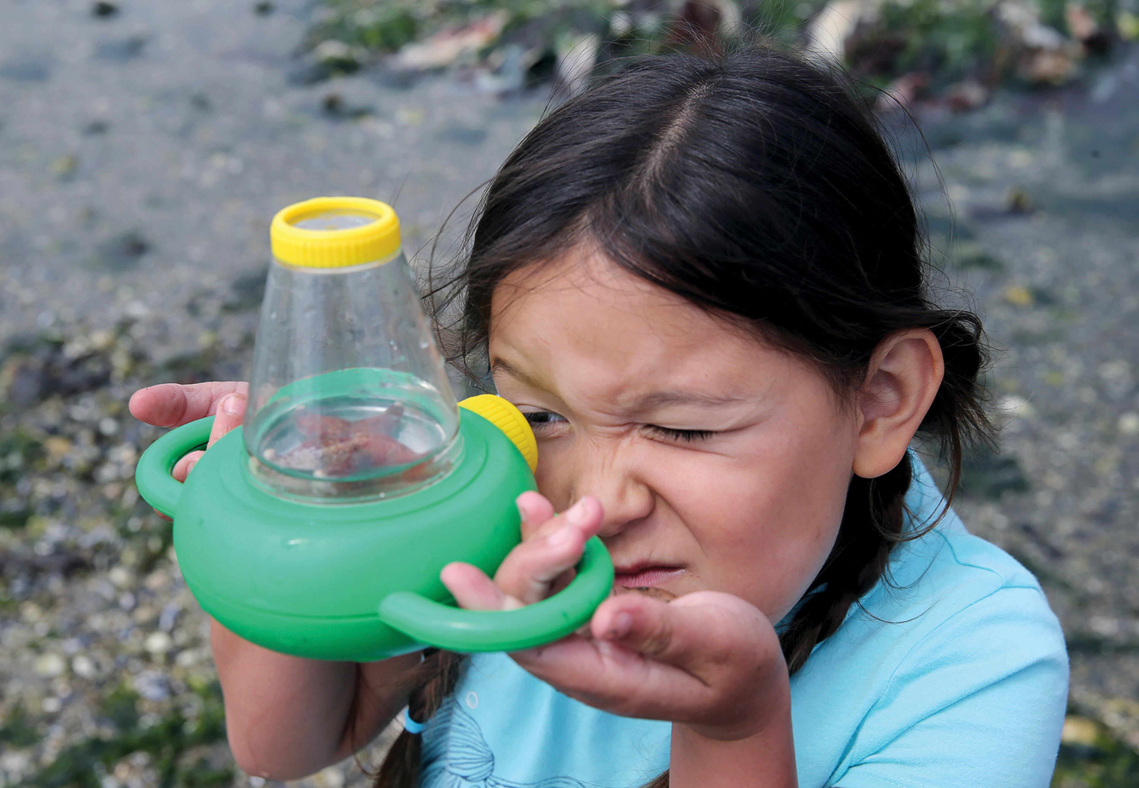 In this Tuesday, June 27, 2017, Harper Seto, of Dixon, Calif., uses a magnifier to get a close up view of a sea star she found during low-tide at Lions Park in Bremerton, Wash. She was one of the participants in the summer beach low-tide exploration. The program was guided by a beach naturalist from the WSU Extension program. (Larry Steagall /Kitsap Sun via AP)