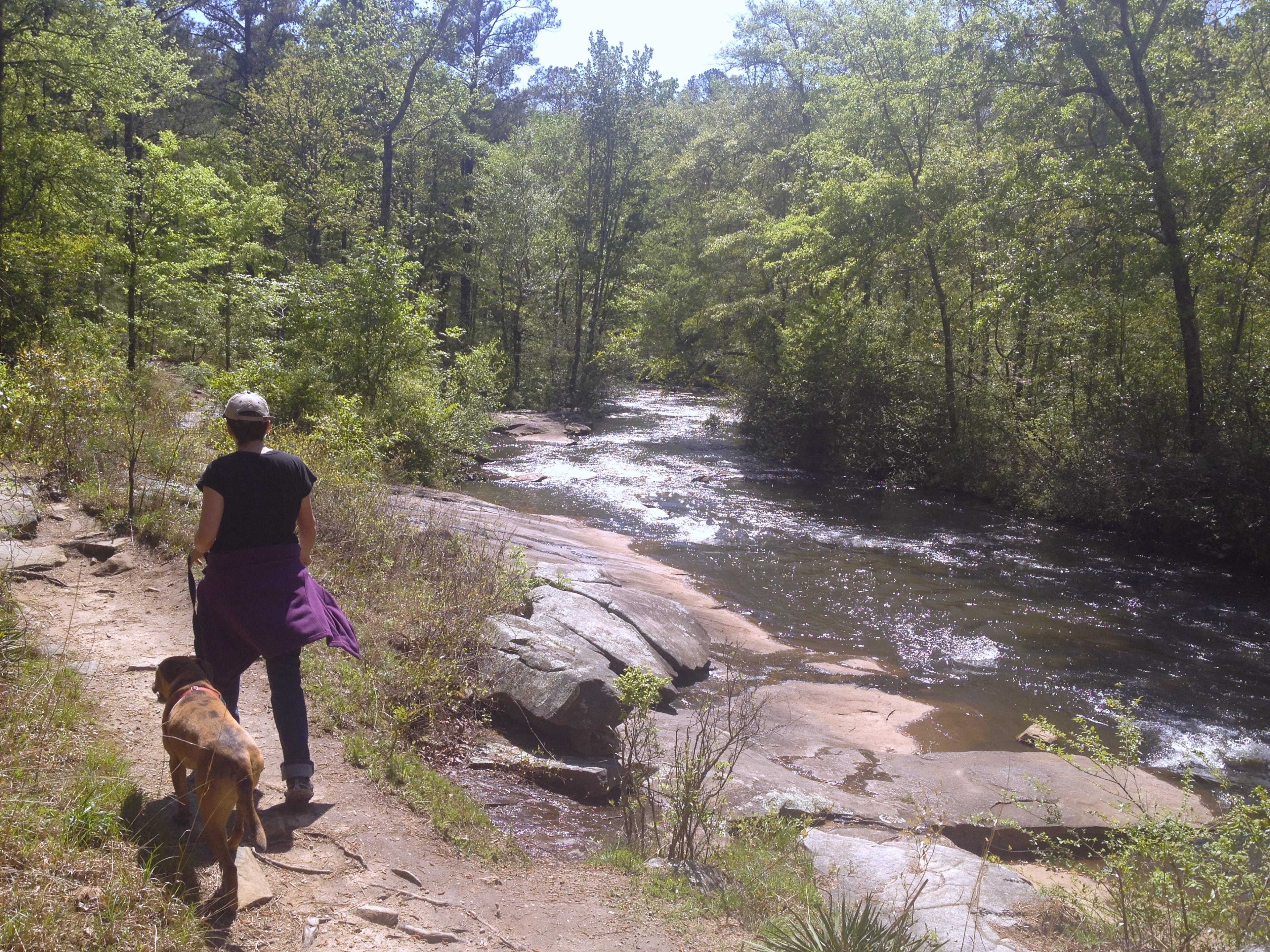 The trail at Line Creek Nature Area follows the banks of Line Creek. (Courtesy of Jonah McDonald)