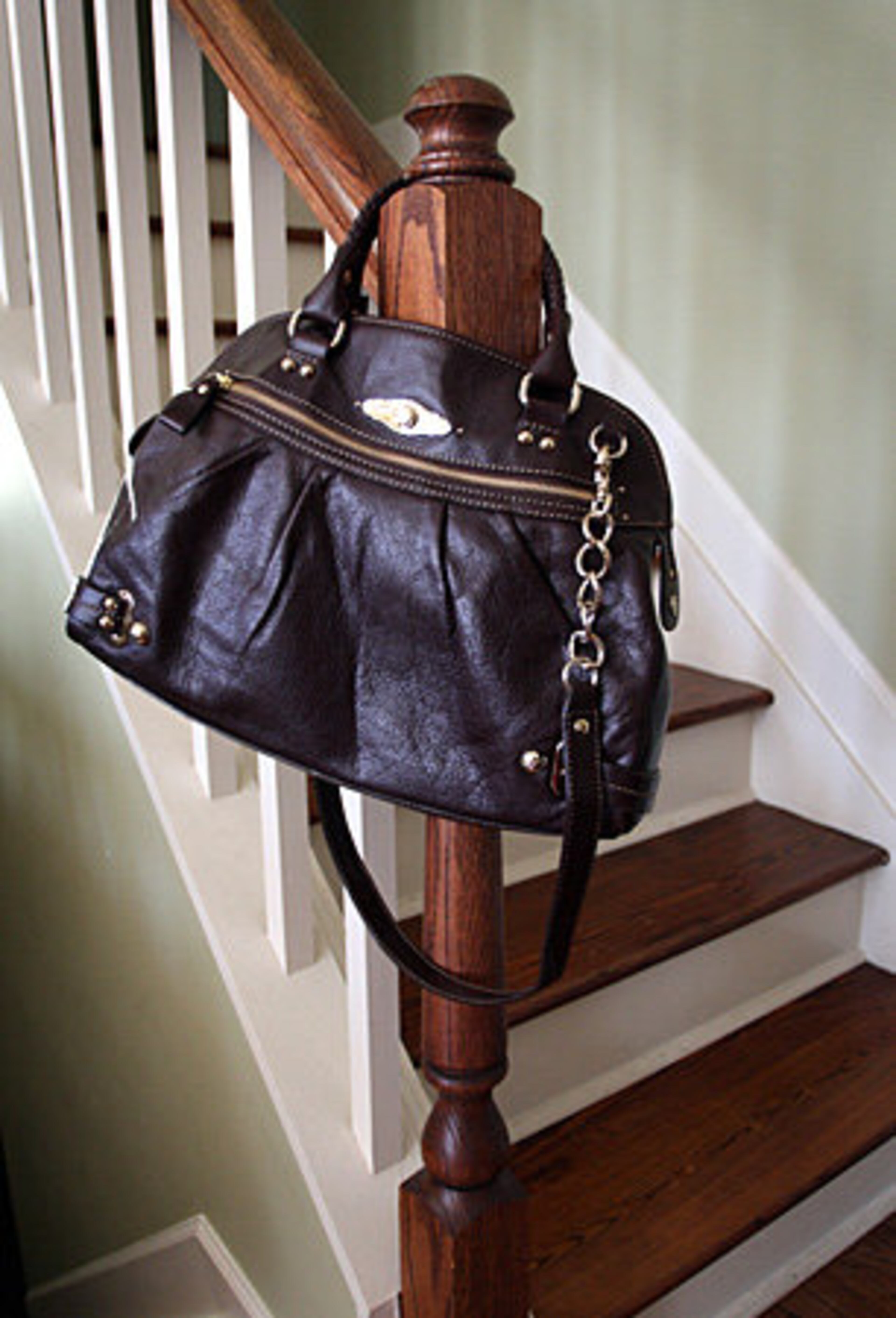 BIGGEST SPLURGE: An Elliott Lucca leather handbag.