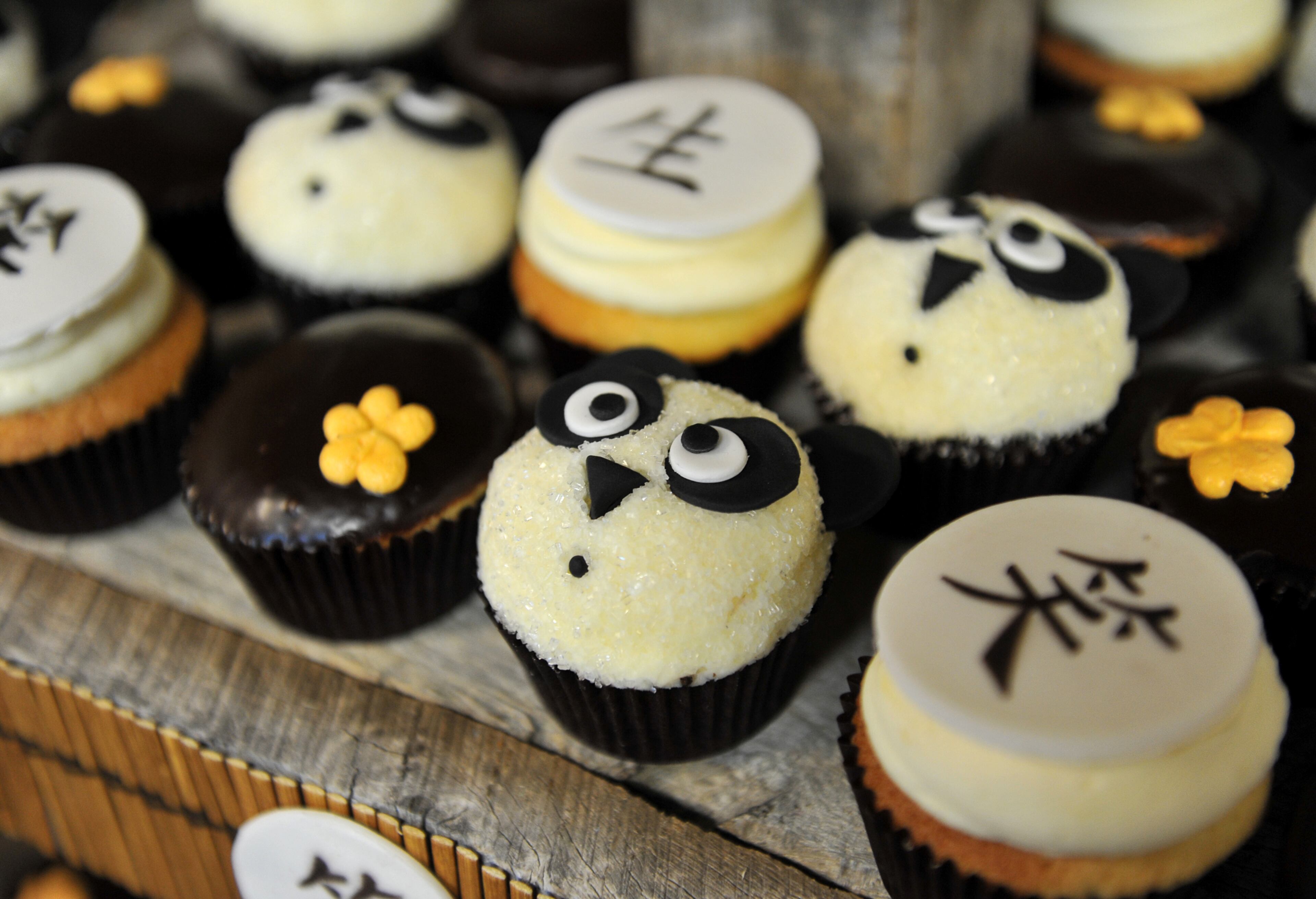 Zoo Atlanta held a ceremony to name their two panda cubs Oct. 23, 2013. Mei Lun and Mei Huan were the selected names.