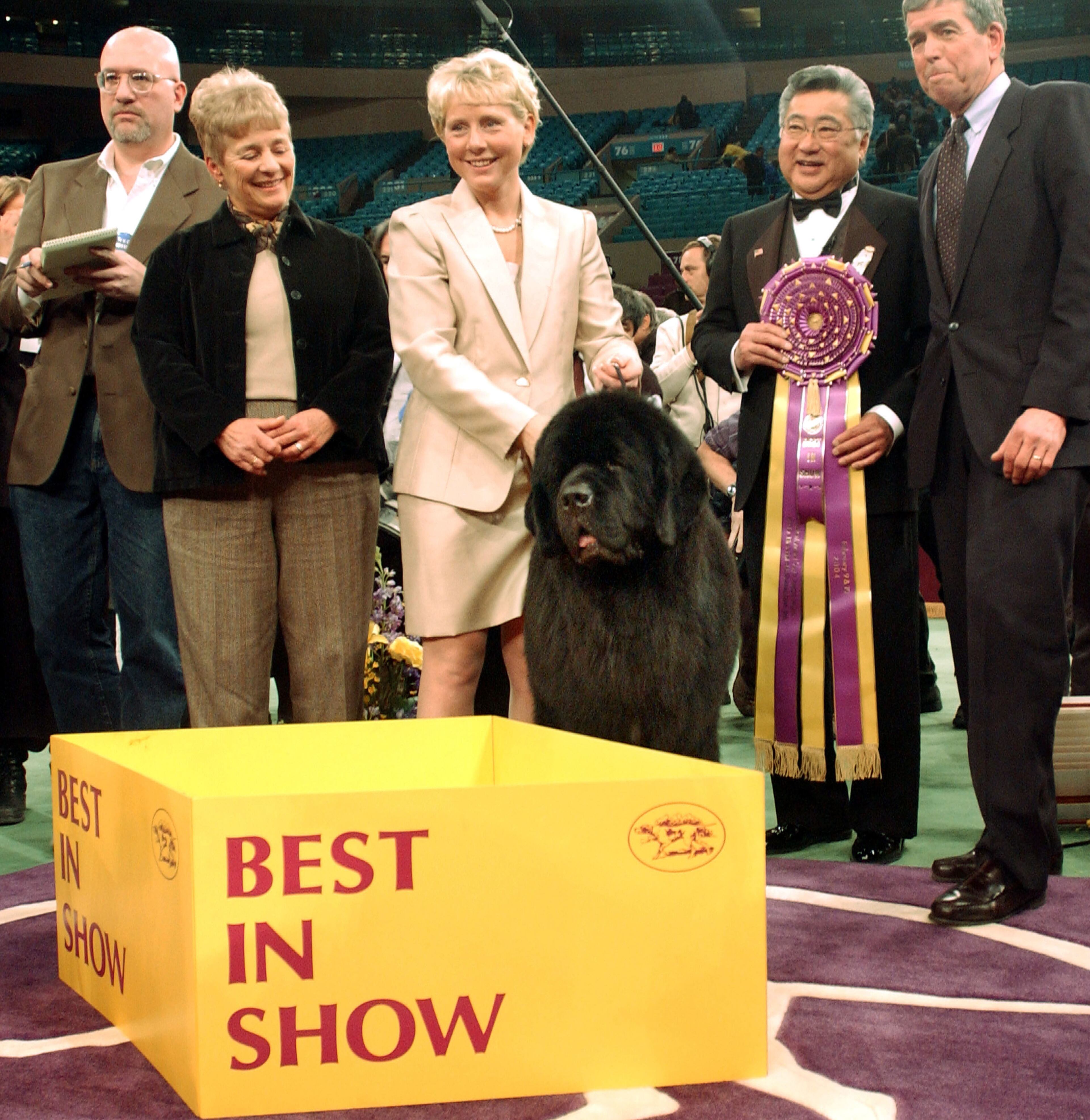NEW YORK - FEBRUARY 10: Josh, a Newfoundland, and his handler, Michelle Ostermiller (C), pose with a banner and ribbon after Josh was named Best In Show at the Westminster Kennel Club dog show February 10, 2004 in New York City. The award capped two days of competition among more than 2,500 dogs. (Photo by Stephen Chernin/Getty Images)