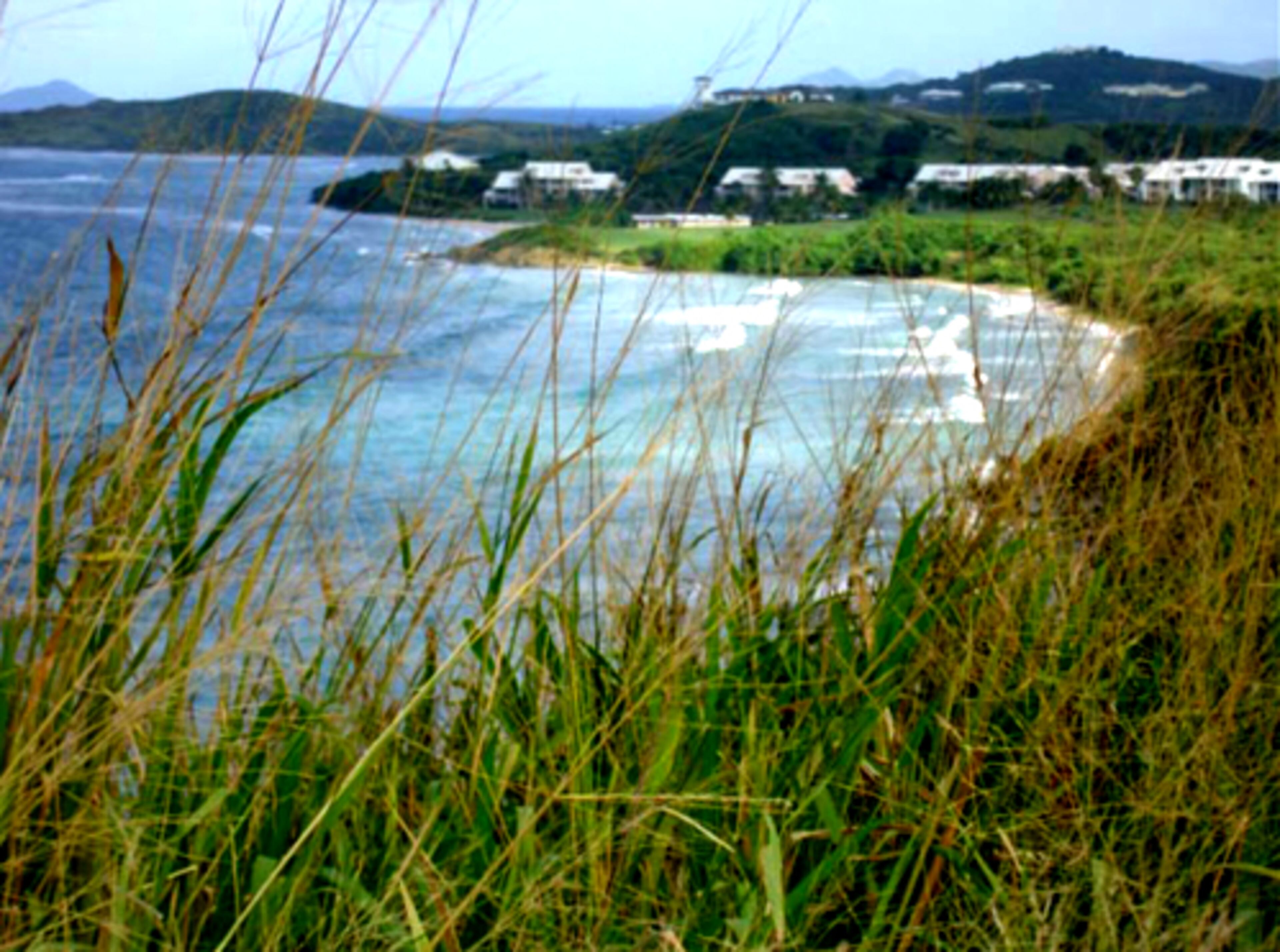 From the North Shore Road in St. Croix, you can see the area where Christopher Columbus landed in 1493 on his second voyage to the New World.