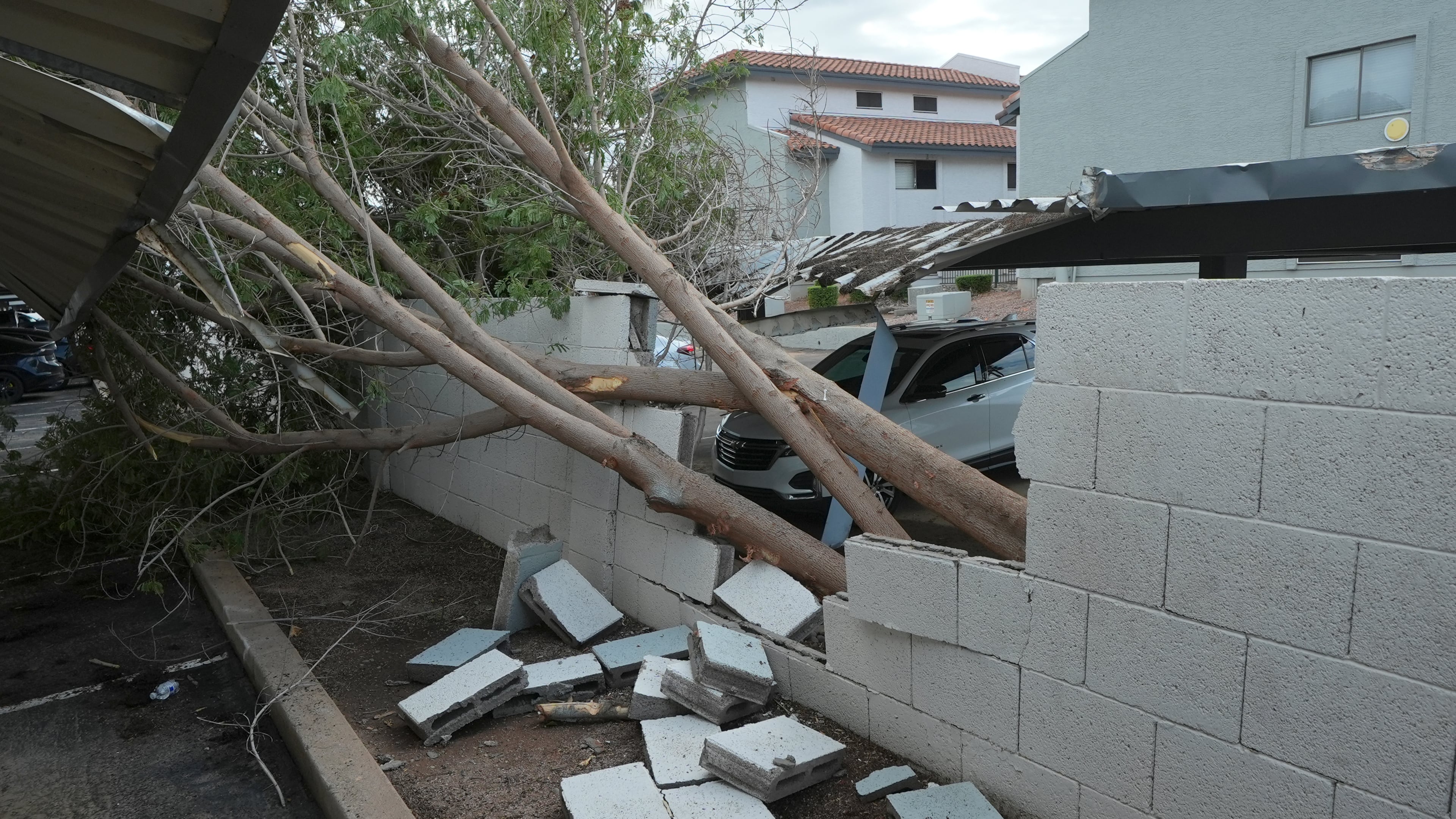 Uprooted trees cause damage at a local apartment complex after storms hit the area, Wednesday, Oct. 21, 2026, in Mesa, Ariz. (AP Photo/Ross D. Franklin)