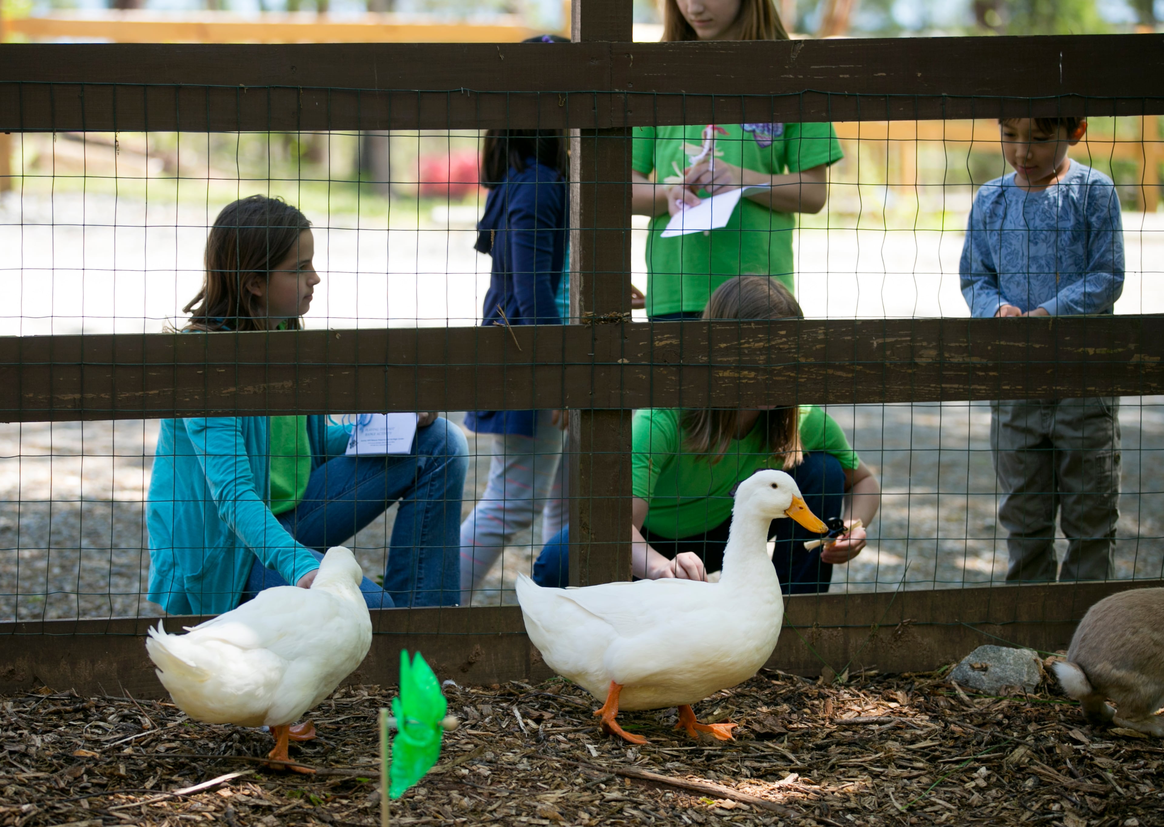 April 2, 2016 - Johns Creek, Ga: Visitors interact with ducks at the Visitors' Center at the Autrey Mill Nature Preserve and Heritage Center Saturday, April 2, 2016, in Johns Creek, Ga. There are several different animals at the Nature Preserve. This is for the insider's guide feature about the Newtown neighborhood. PHOTO / JASON GETZ