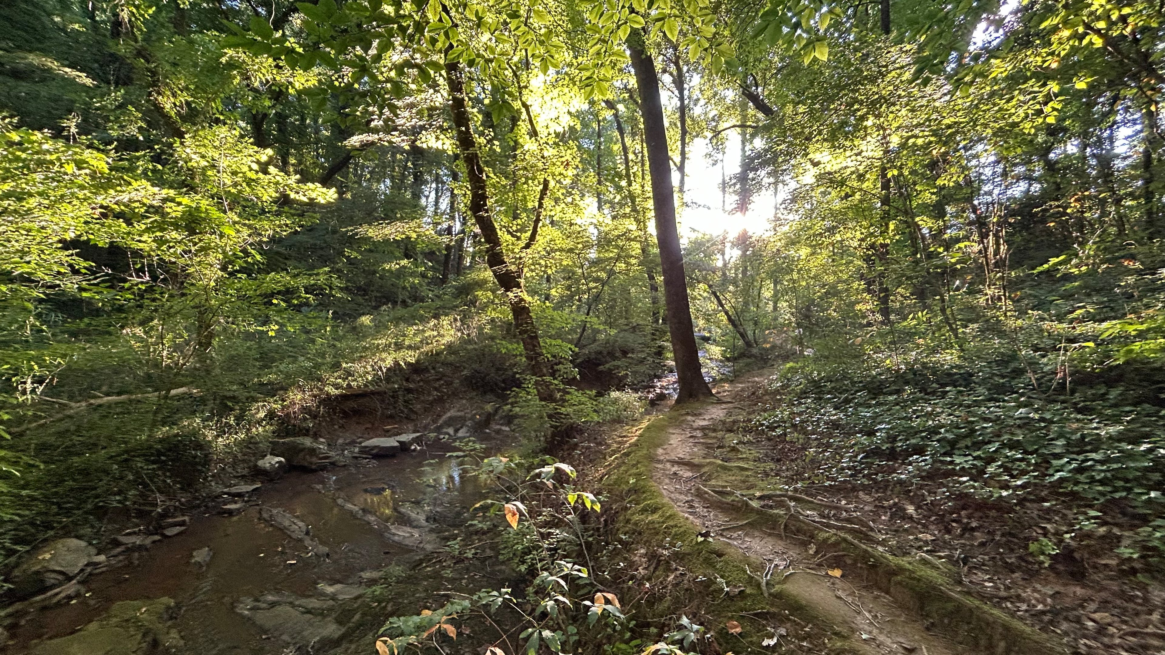 A path on the grounds of Ignatius House along the Chattahoochee River in Cobb County. (AJ Willingham/AJC)