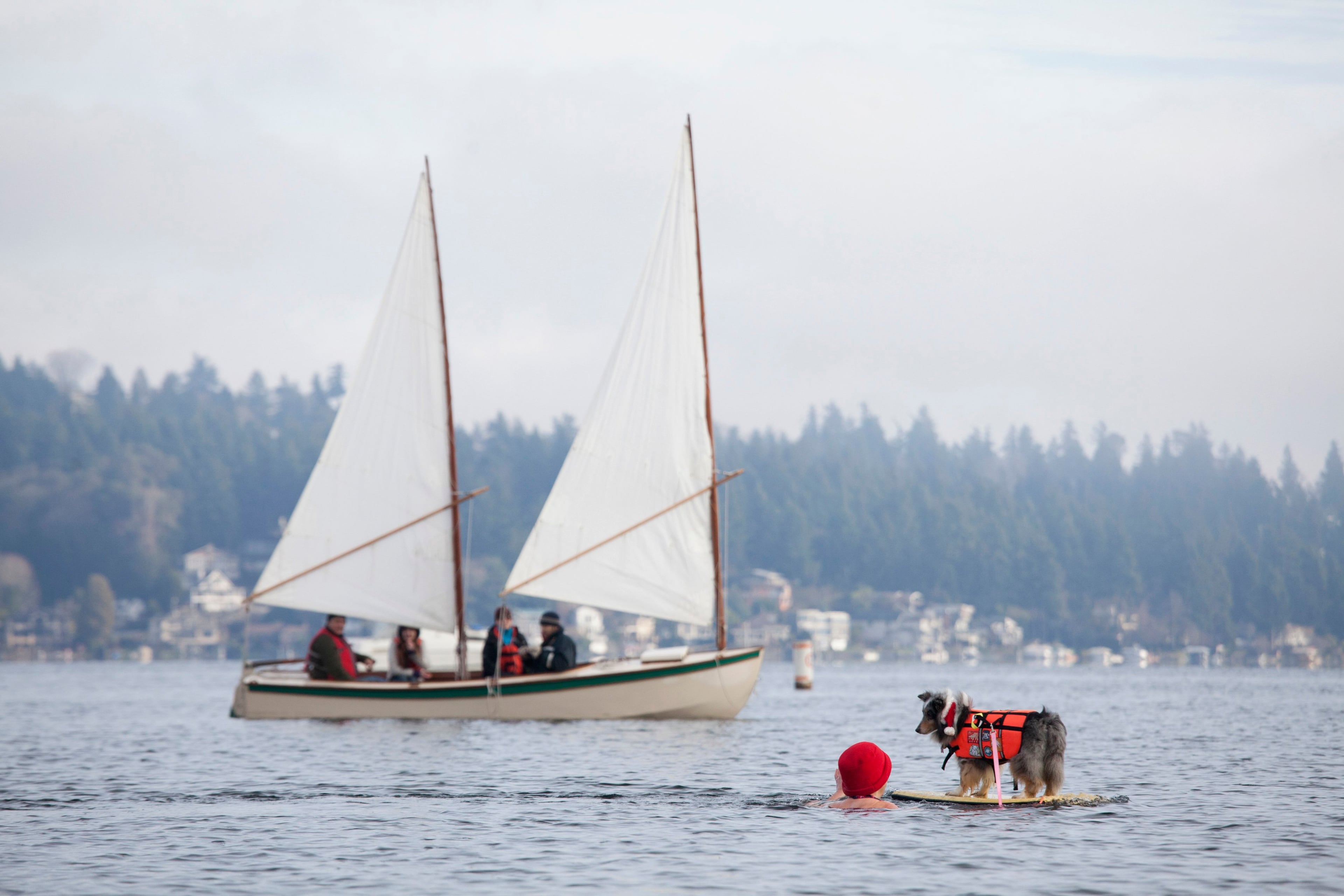 Spectators, including a dog on a boogie board, are pictured on Lake Washington before the 12th annual Polar Bear Plunge in Seattle, Washington January 1, 2014. Hundreds participated in the chilly New Year's Day tradition, organized by Seattle Parks and Recreation and held at Matthews Beach. REUTERS/David Ryder