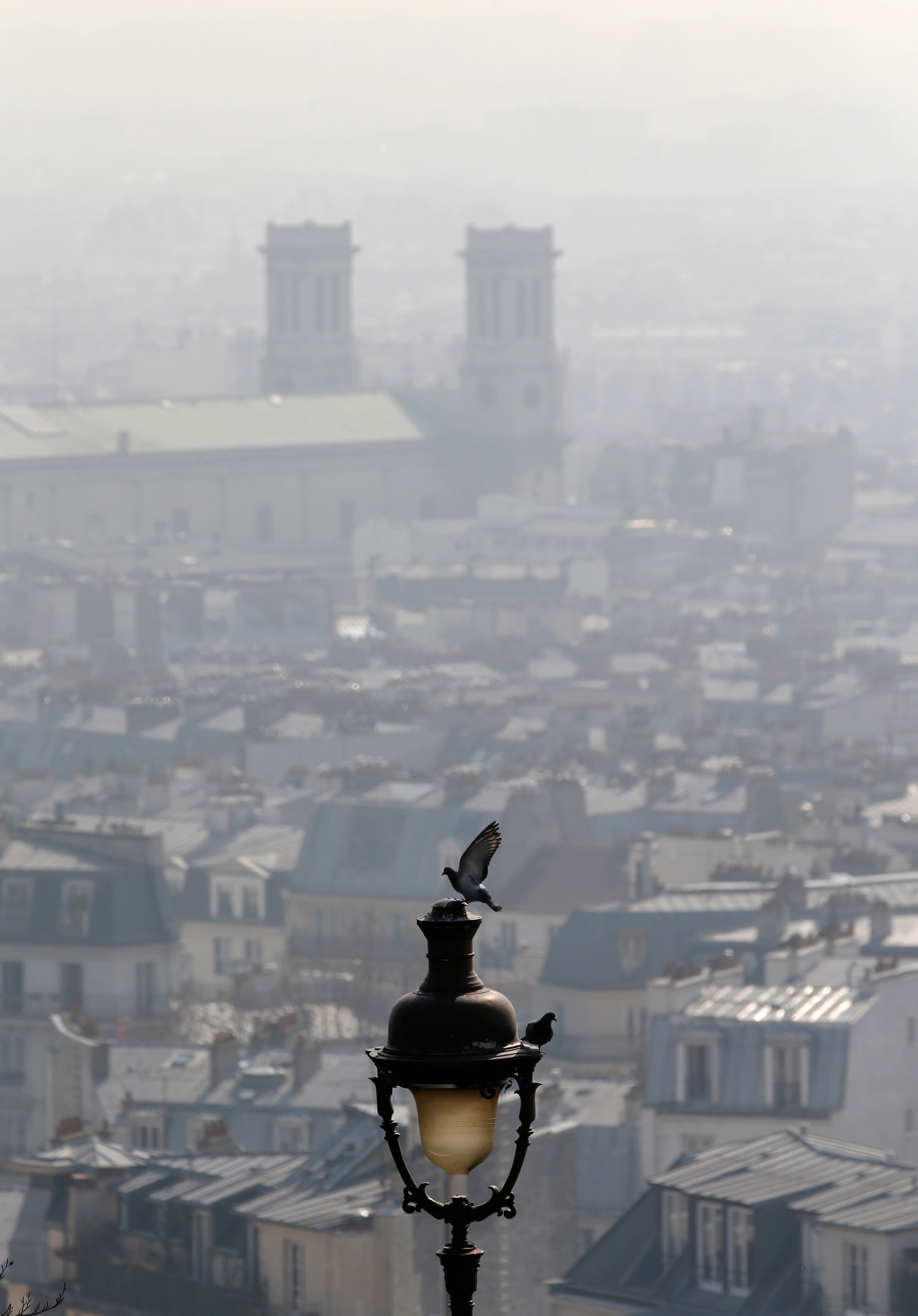 A pigeon flies away with the Saint Vincent de Paul church is seen through the smog in Paris, Thursday, March 13, 2014, as pollution over the French capital is at high levels.