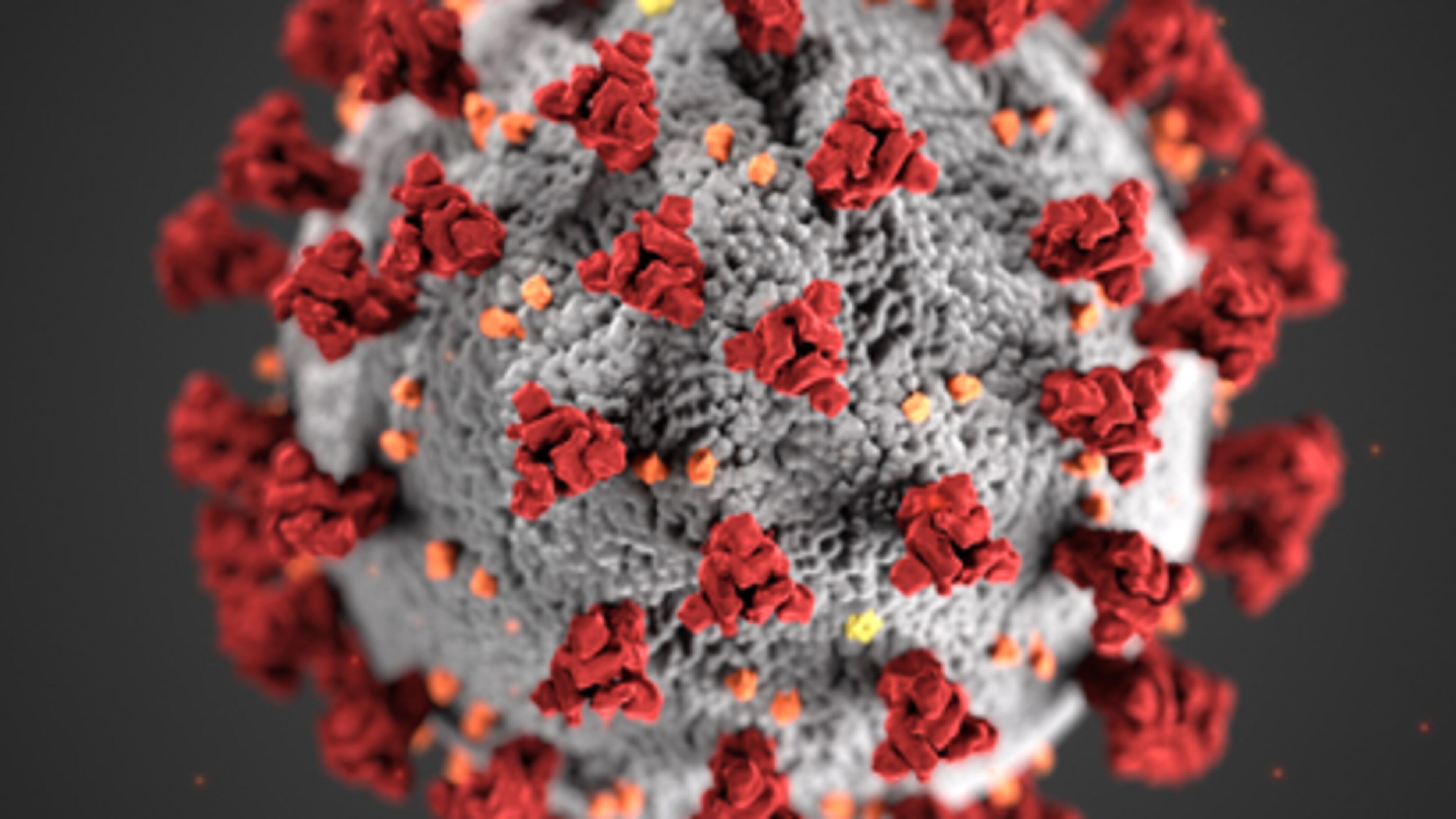 The Henry County Commission will hold a special called meeting Wednesday to address the spread of coronavirus.