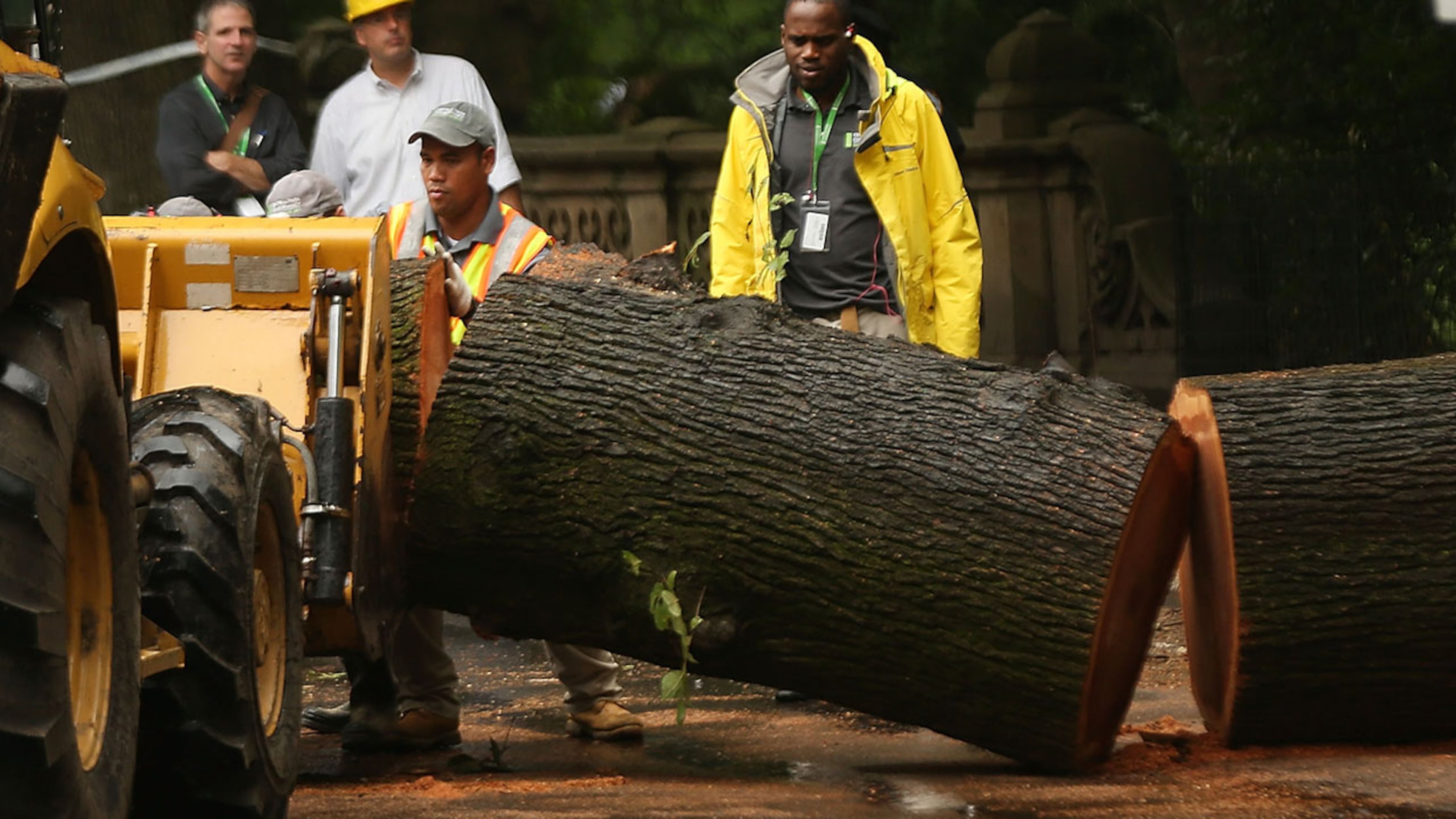 NEW YORK, NY - AUGUST 15: Central Park workers remove parts of a massive tree that came down Tuesday morning injuring a mother and her three young children on August 15, 2017 in New York City. The tree blocked a roadway in the popular park, prompting police to shut down the area to pedestrians, vehicles and bicycles. (Photo by Spencer Platt/Getty Images)