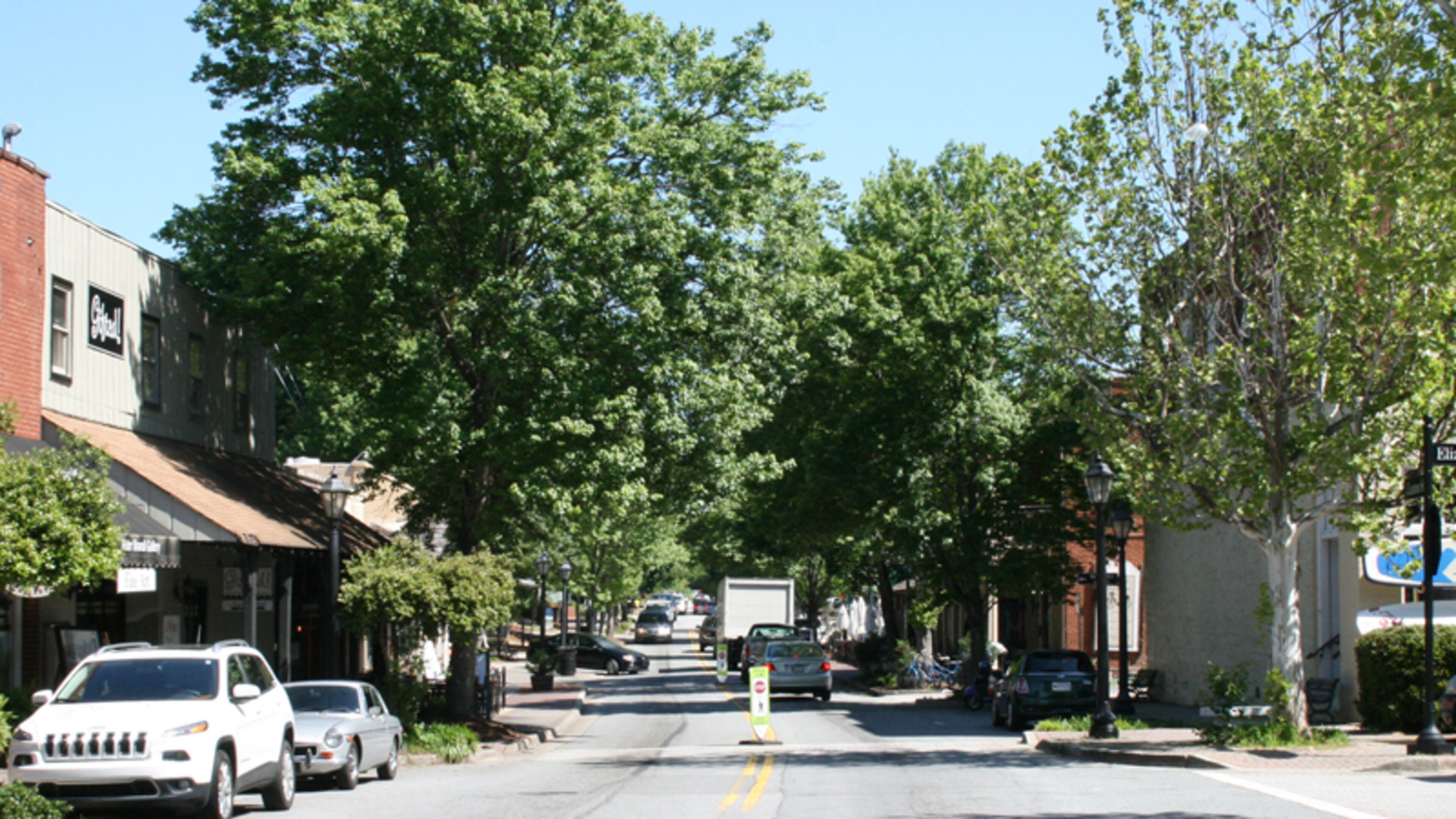 The tree canopy along Canton Street and in the Heart of Roswell Park will get some much-needed pruning the week of June 19-23 in historic downtown Roswell. CITY OF ROSWELL