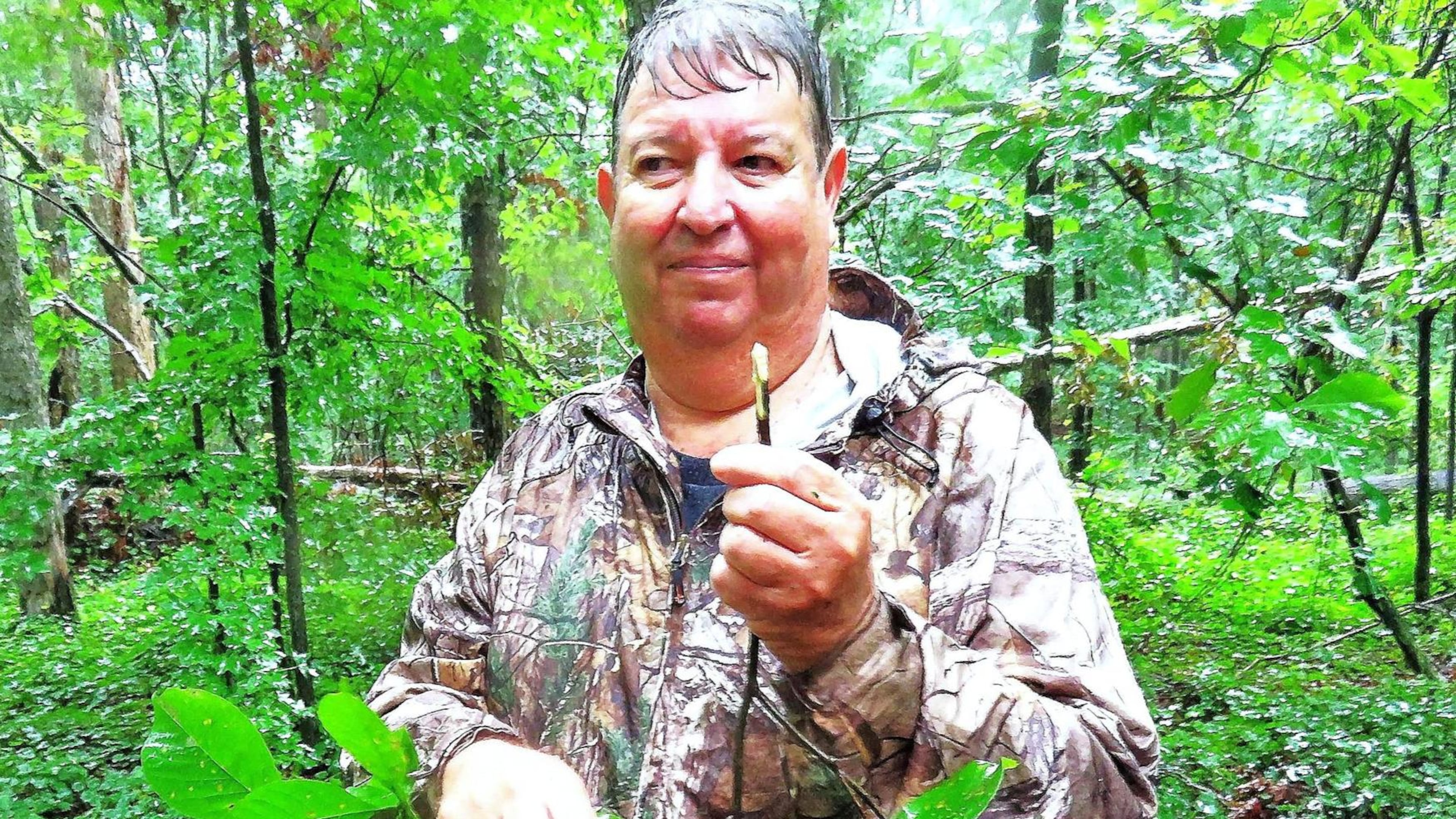 Bill Lott, manager of the Thompson Mills Forest and State Arboretum in Braselton, holds a small branch of a black gum tree, one of some 200 native tree species at the arboretum. Native Americans and settlers once used black gum twigs as toothbrushes. CONTRIBUTED BY CHARLES SEABROOK