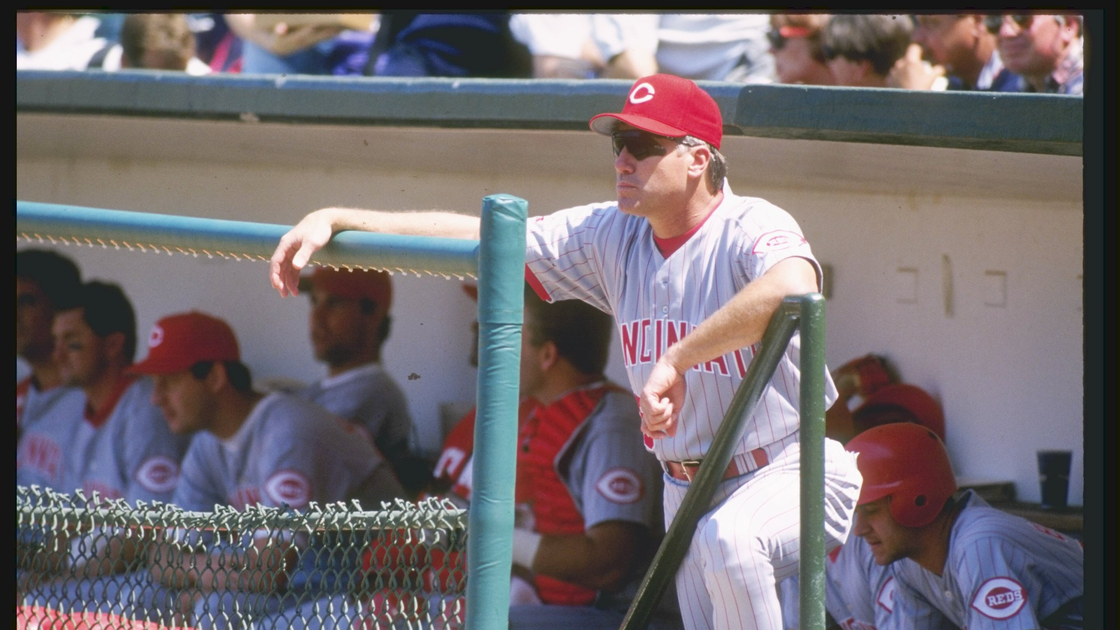 Former Reds manager Ray Knight, seen here looking on from the dugout in Wrigley Field during a 1996 game against the Cubs, was playing third base for the Reds in 1981 when a fan nearly fell over a railing in old Riverfront Stadium. He said, "I remember it clearly . . . I saw him hanging up there, but I never knew how he actually grabbed the dang rail, the way it’s built.”