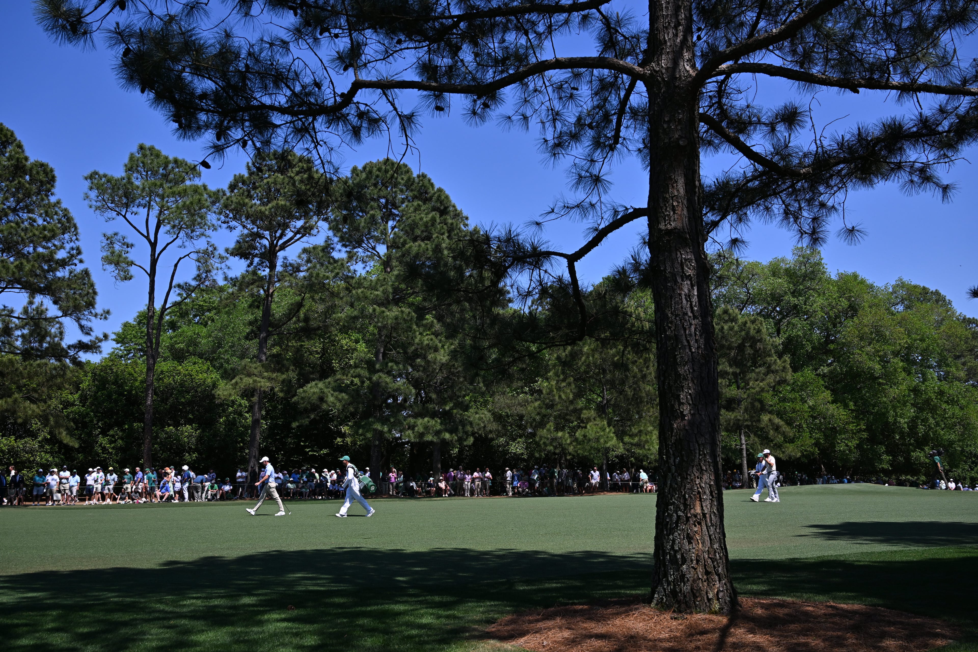 Rory McIlroy and Cameron Young walk down first fairway during final round of the Masters, at Augusta National Golf Club, Sunday, April 12, 2026, in Augusta, GA (Hyosub Shin/AJC)