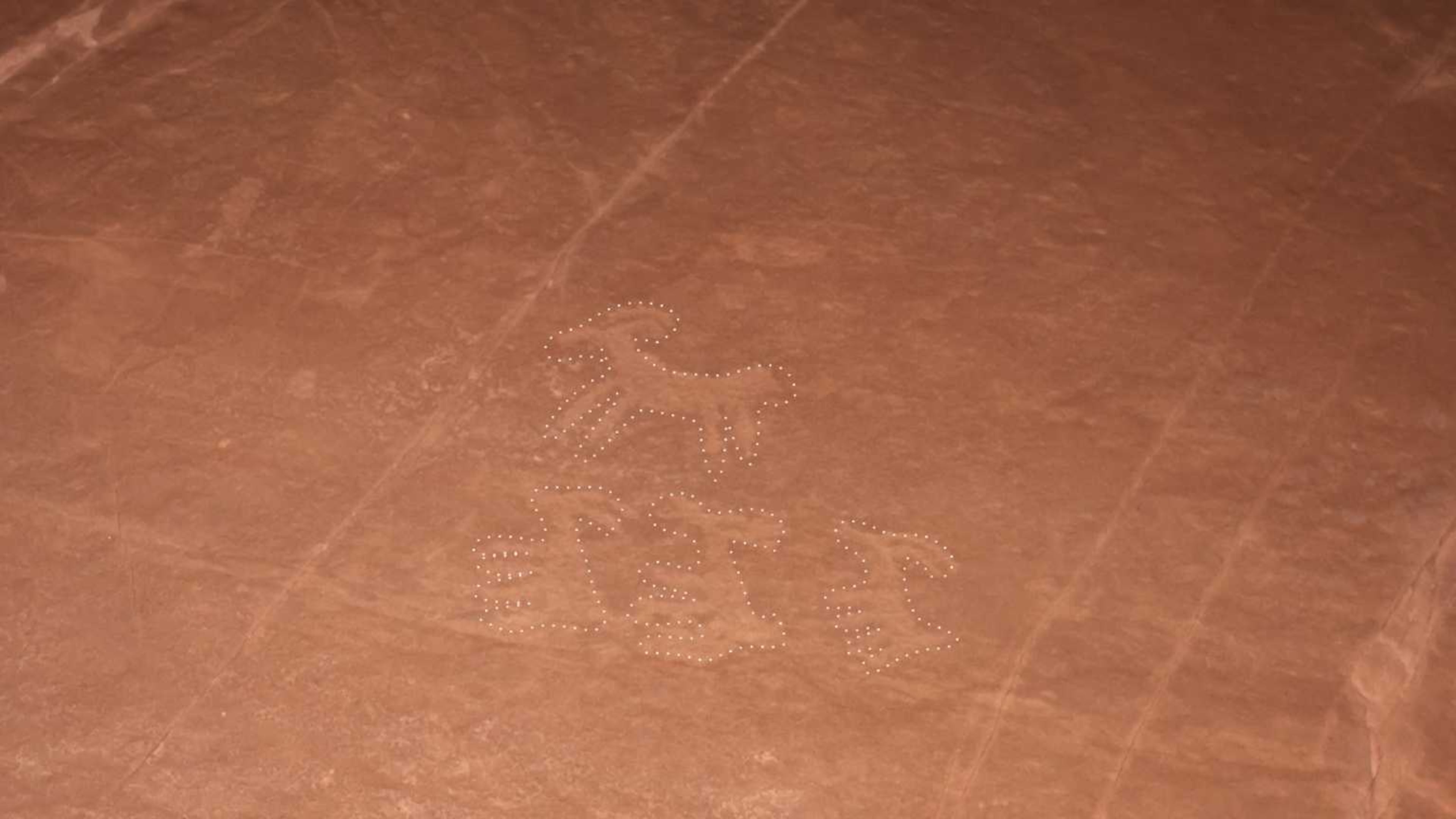 Emory University students photographed these petroglyphs during their hiking trip in Utah. Researchers note that the style resembles petroglyphs attributed to Fremont or Ute peoples. (Courtesy of Sarah Higinbotham/Emory University)