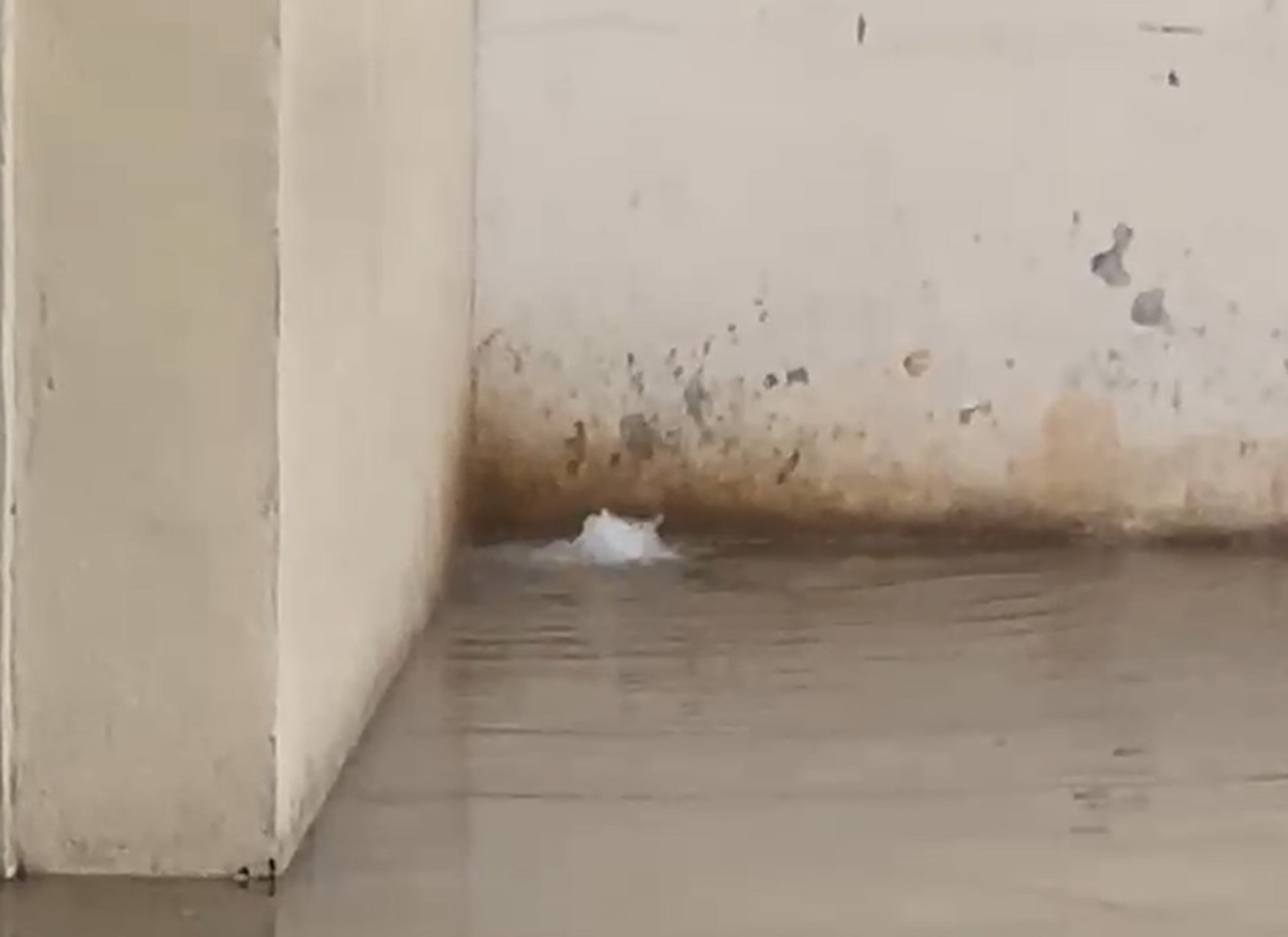 Among the troubles at the Fulton County Jail is flooding during heavy rain, which occurred again just last week. (Courtesy of Fulton County Sheriff's Office)
