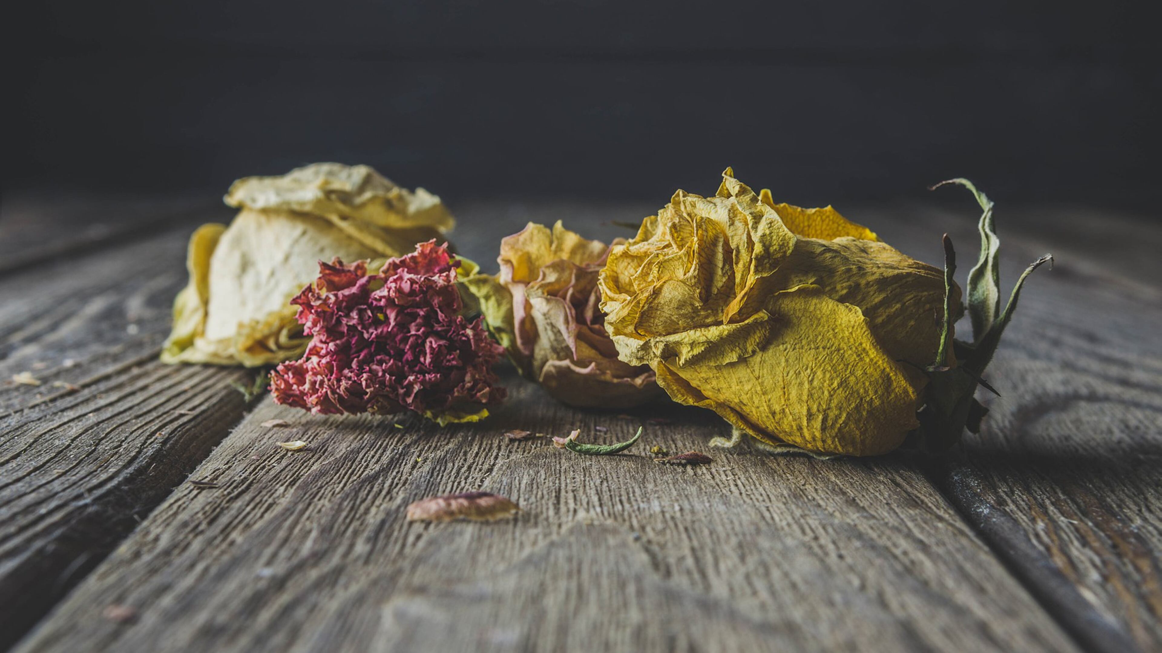 Dried and decaying flowers, branches and leaves are a big feng shui no-no. (Dreamstime)