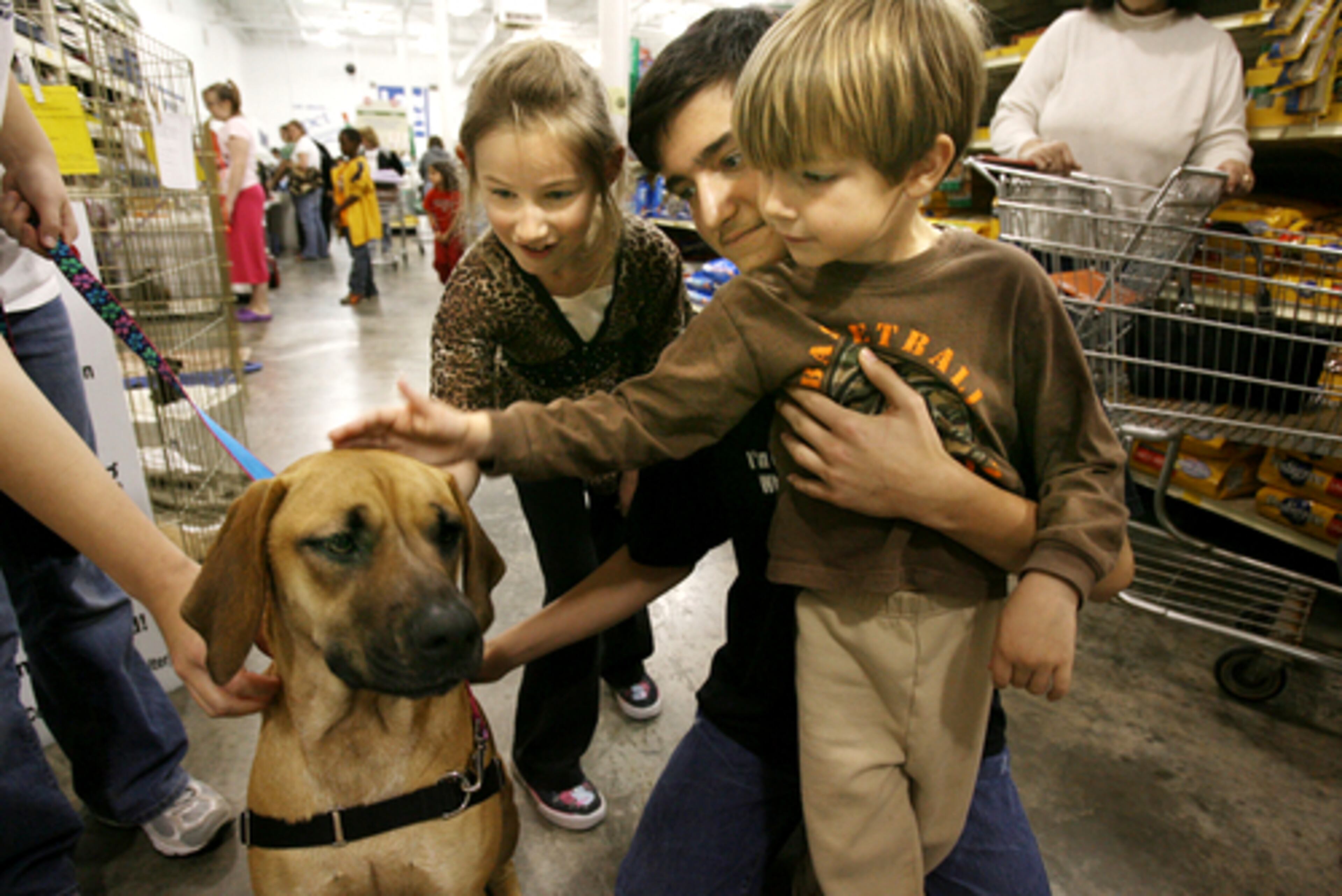 Christin Moody, 7, her cousin, Cory Bowles, 14, and Christin's brother, Gregory Moody, 5, all of Fayetteville, pet a hound/mastiff mix named Suzie Q that is up for adoption from the Fayette Humane Society at the Fayetteville Petsmart's Saturday pet adoption.