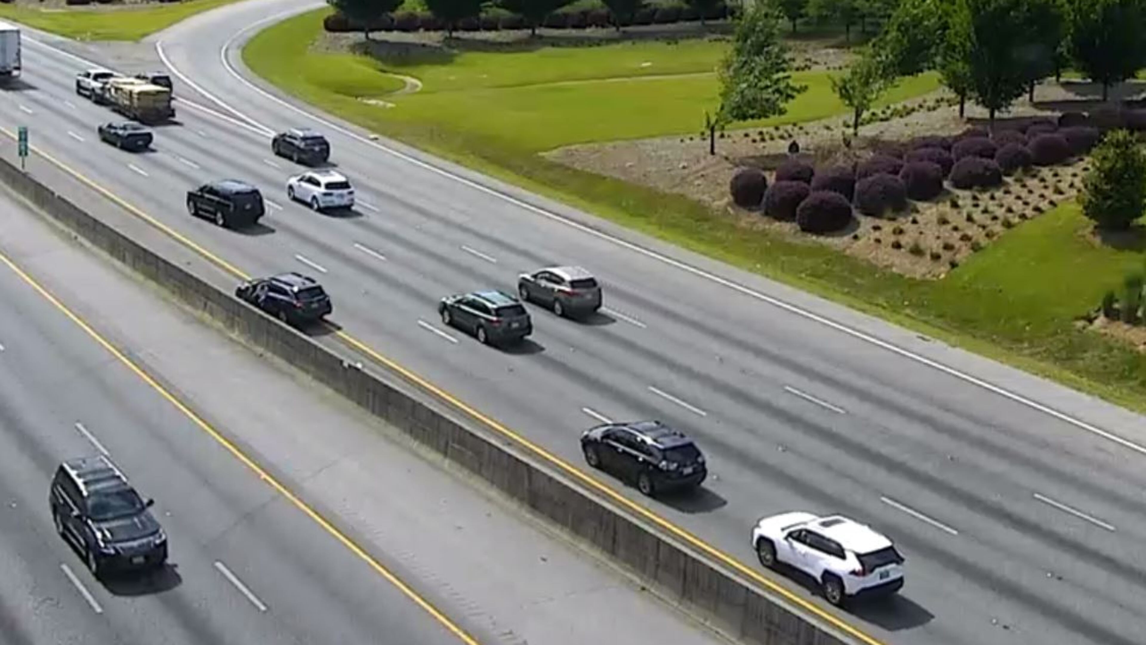 Drivers stopped in traffic to get a stray dog from the left shoulder on I-20 westbound at Riverside Pkwy (Exit 46) on Monday, June 12, 2023. WSB TRAFFIC