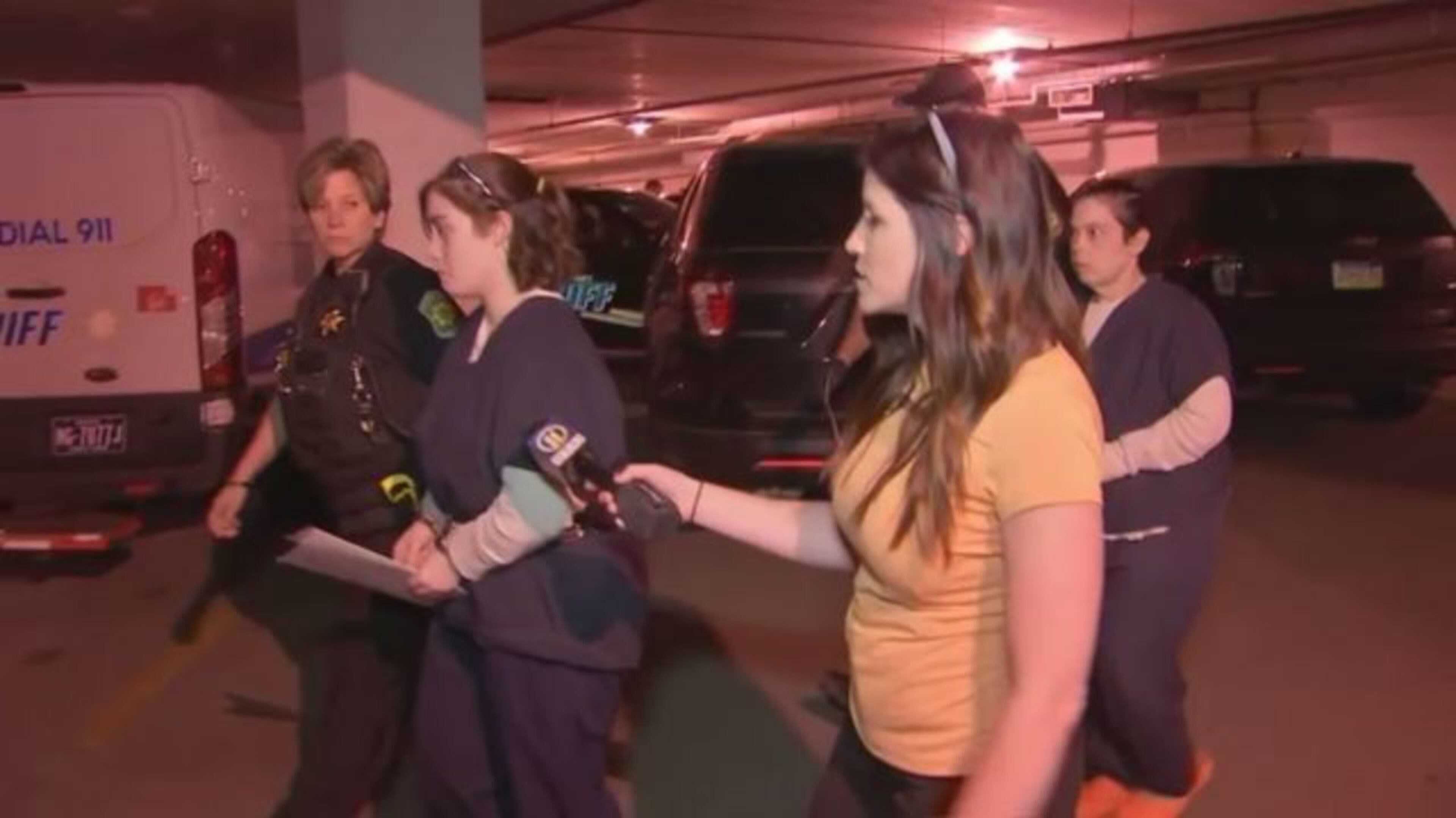 A woman has asked a judge to dismiss charges that she beat her mother and shaved her head because she thought the older woman was listening to a Pittsburgh Steelers' game too loudly on the radio. (Photo: WPXI.com)