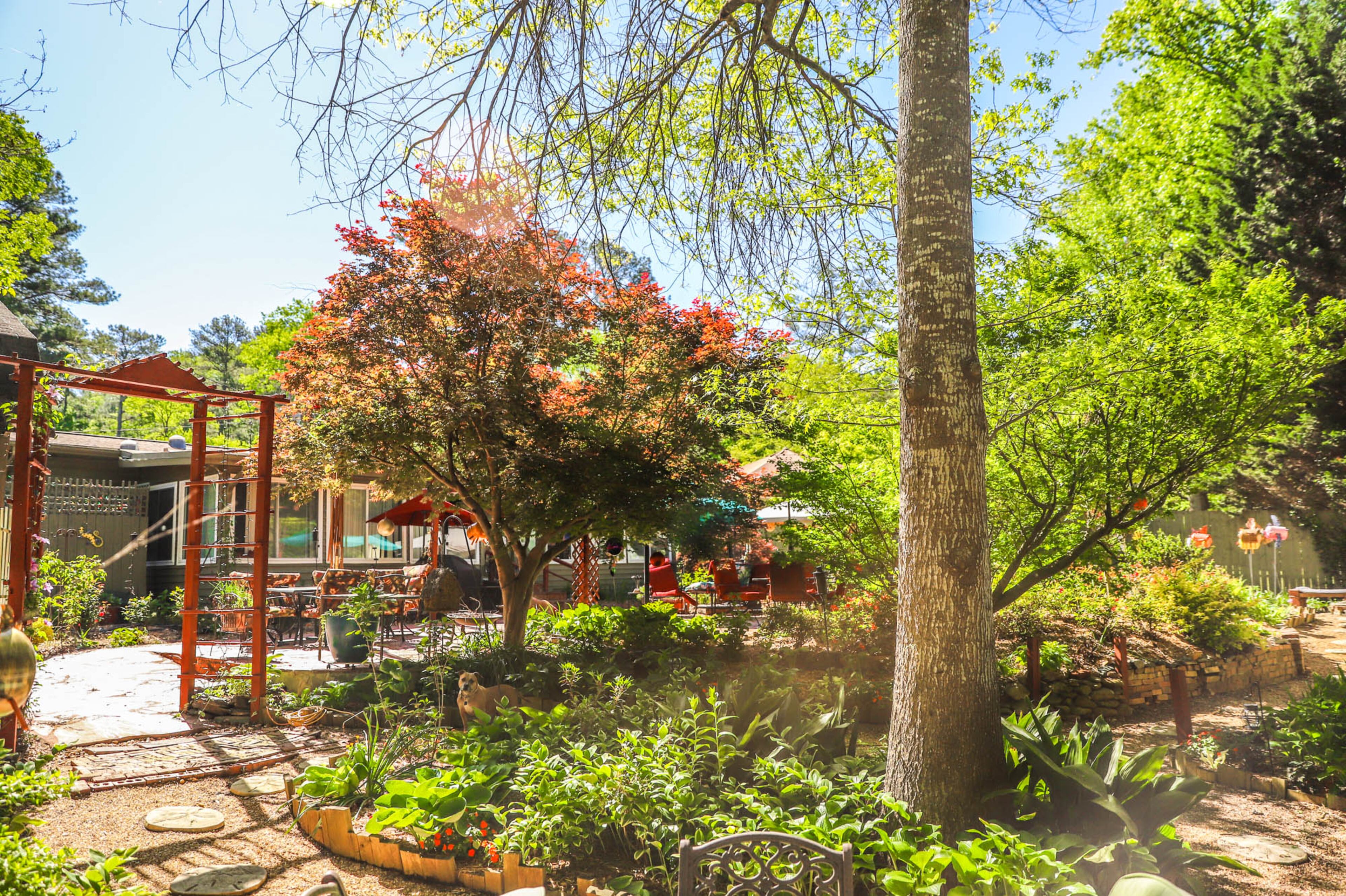 Varieties of Japanese maples shade portions of this garden, helping create a harmonious area for sun-sensitive plants, as well as the many birds that enjoy the yard. Reynolds Rogers For the AJC