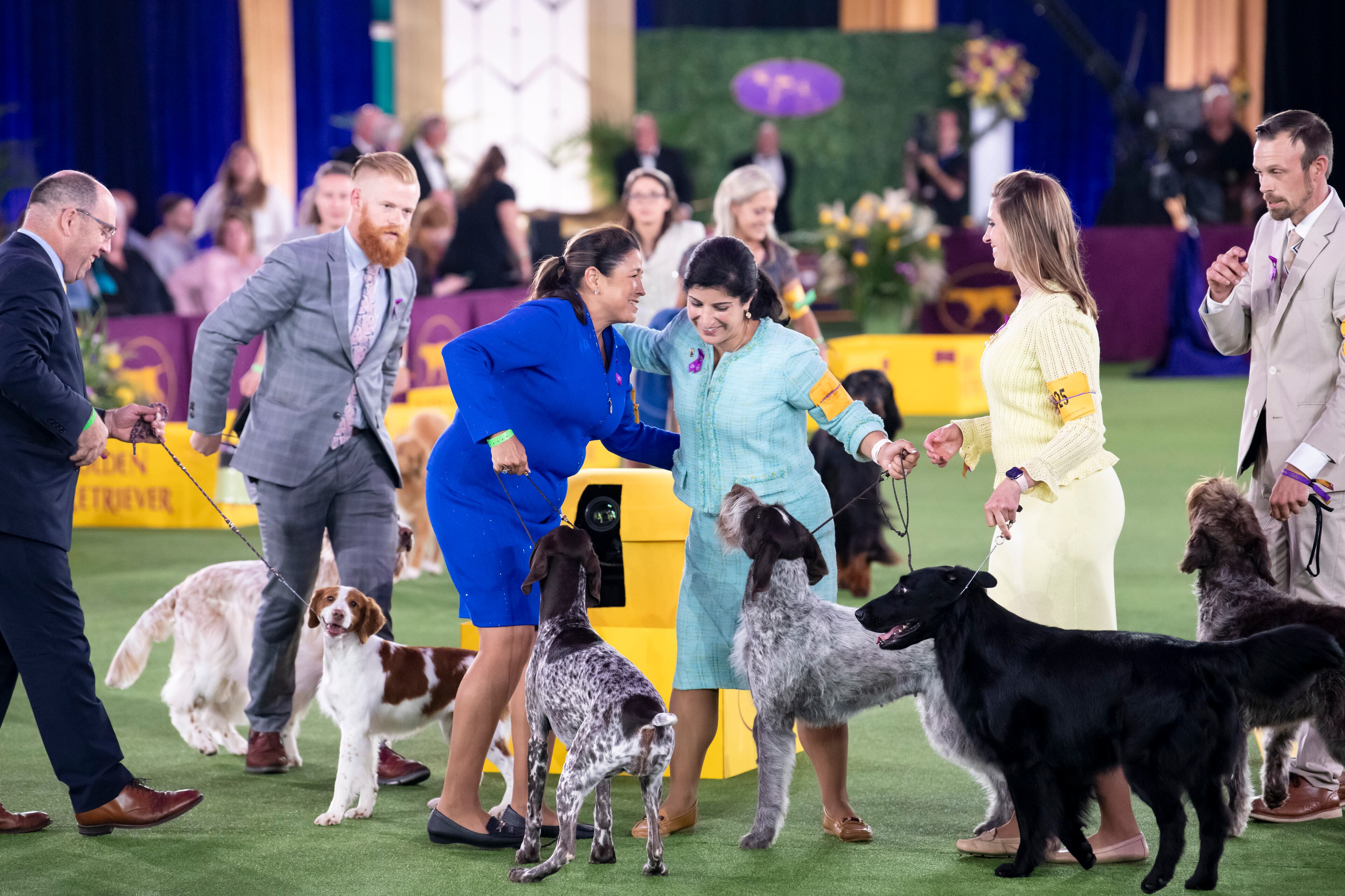 Jade, a German Shorthaired Pointer, wins the sporting group at the Westminster Kennel Club Dog Show, held at the Lyndhurst Mansion in Tarrytown, N.Y., on Sunday, June 13, 2021. (Karsten Moran/The New York Times)