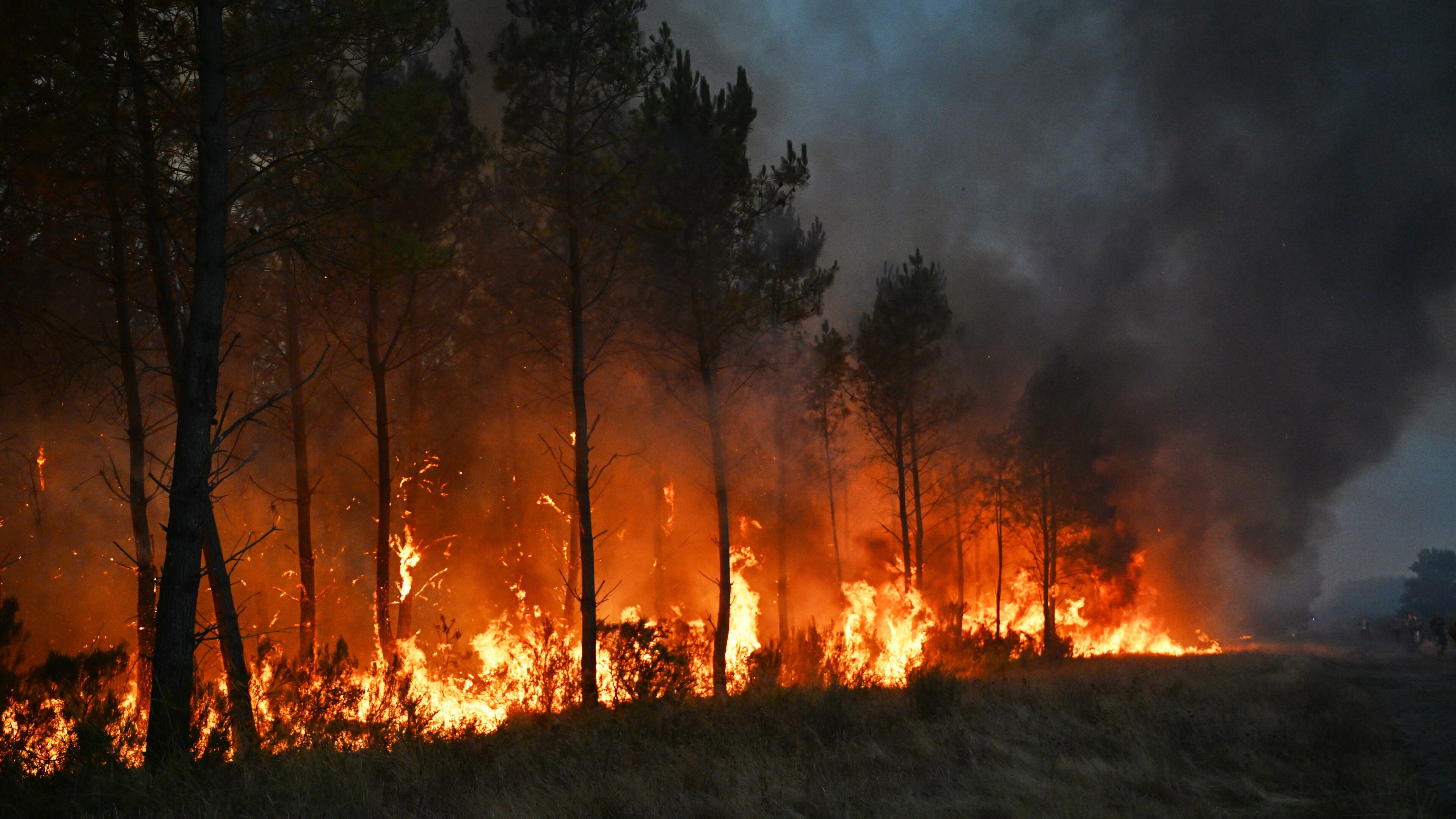Trees bur as a wildfire rages near Marcheprime, outside, Bordeaux, France, Sunday, July 26, 2026. (AP Photo/Emma Da Silva)