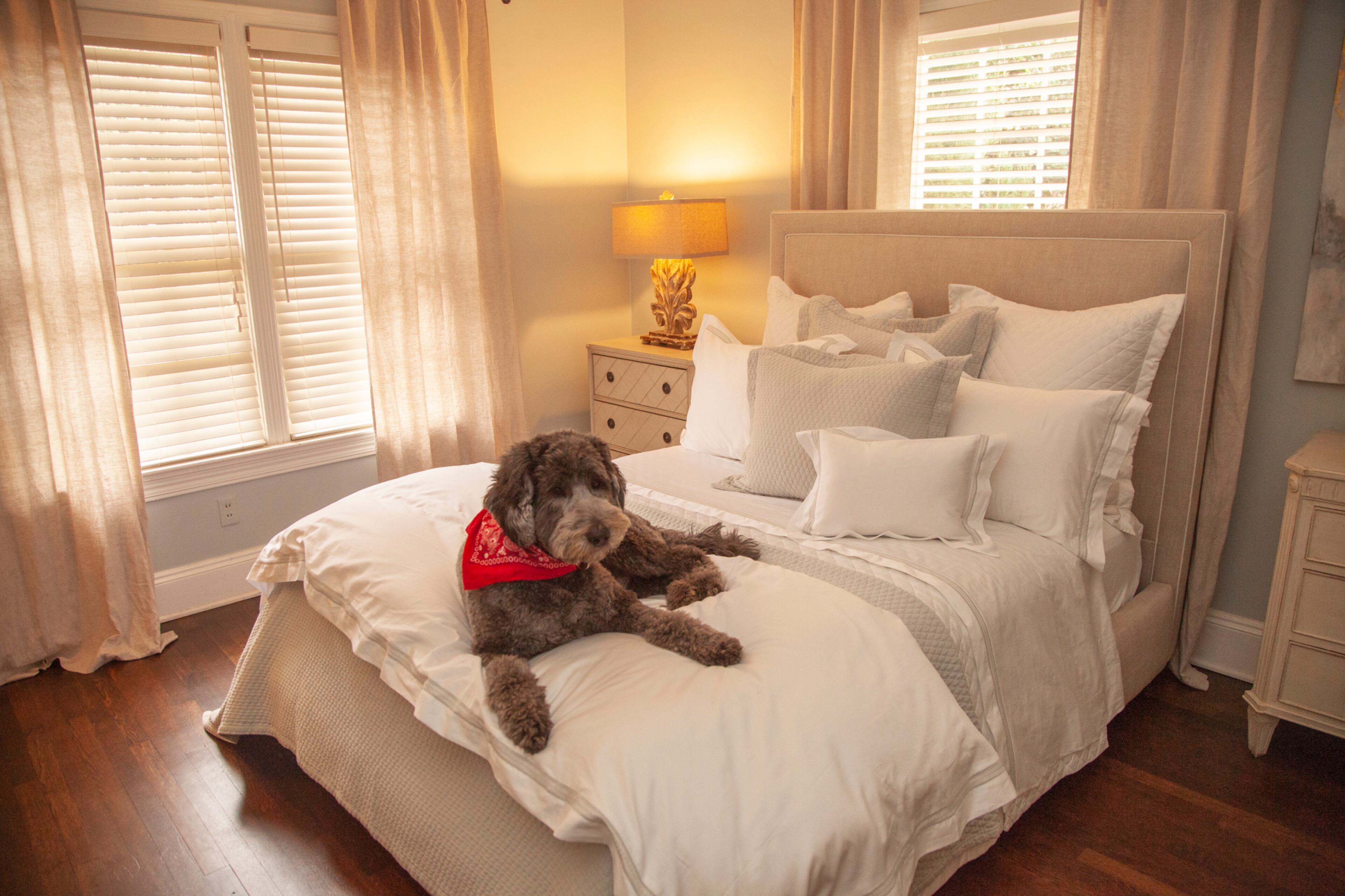 The family's goldendoodle, Basher Bill, lounges in the master bedroom.