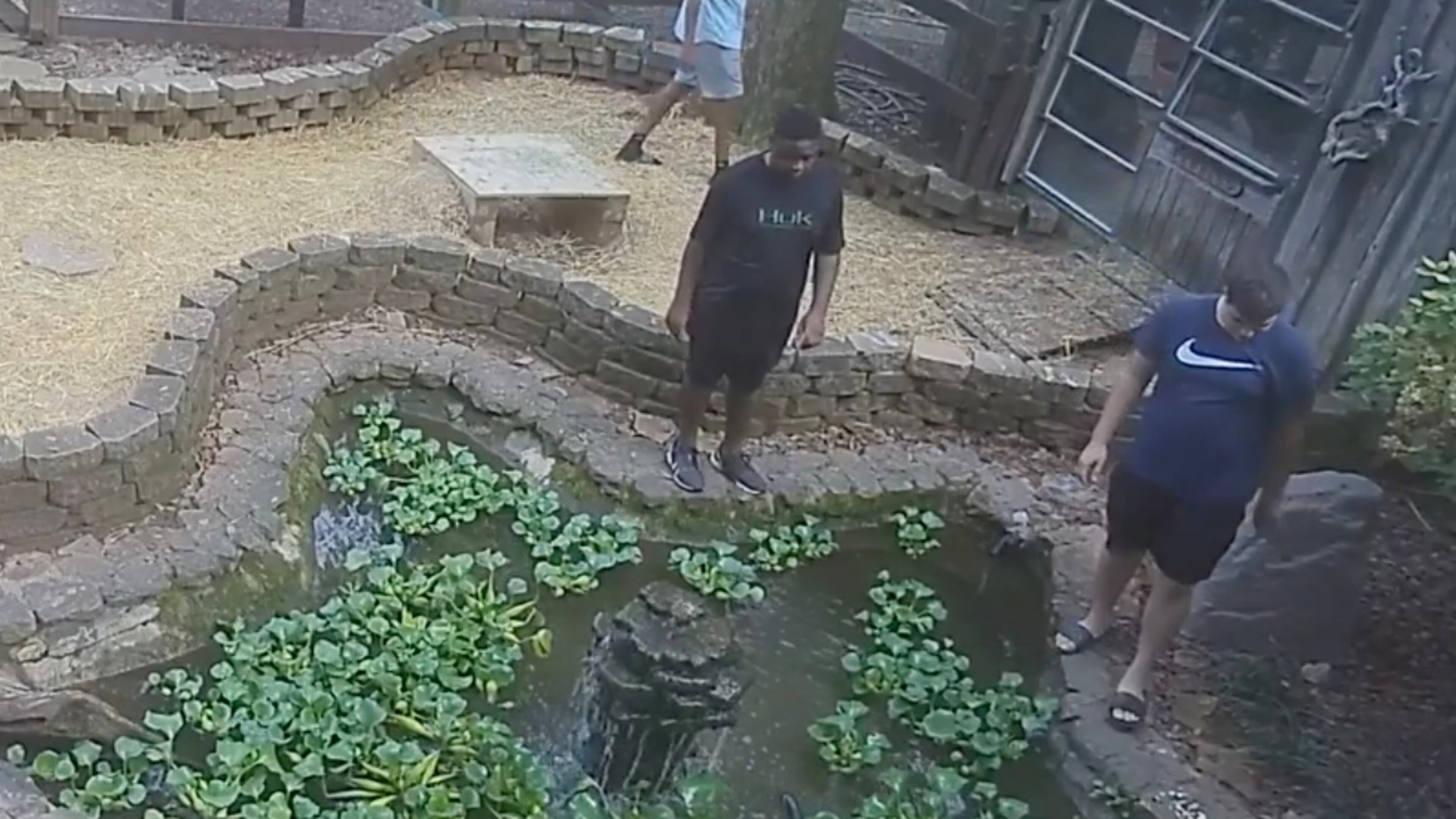 Johns Creek Police would like to speak to the teens in this photo about the missing box turtles at Autry Mill Nature Preserve. (Courtesy Autry Mill Nature Preserve)