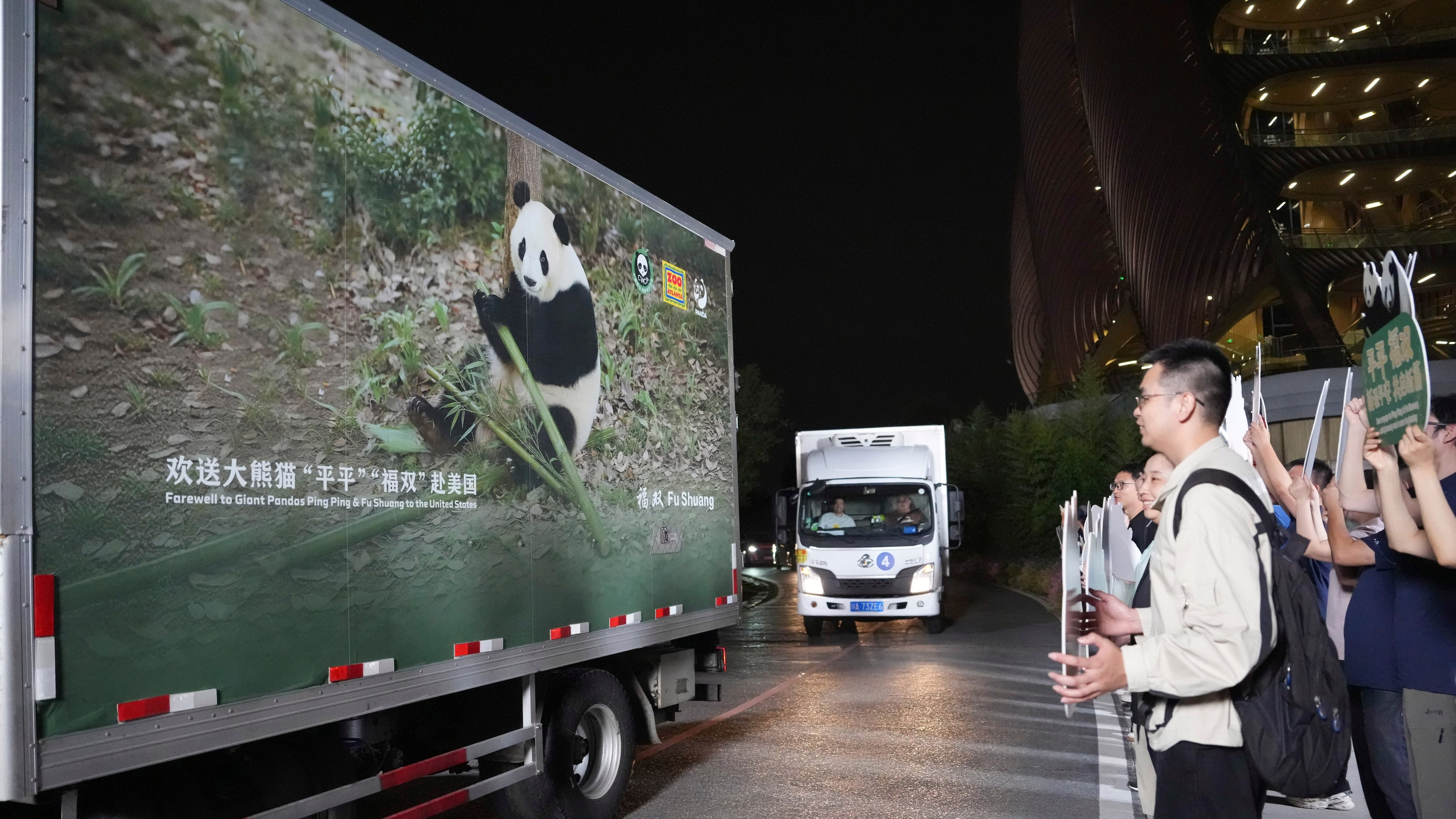 In this photo released by Xinhua News Agency, vehicles carrying a pair of giant pandas, Ping Ping and Fu Shuang, leave the Chengdu Research Base of Giant Panda Breeding in Chengdu, southwestern China's Sichuan Province, Saturday, Sept. 26, 2026.(Xu Bingjie/Xinhua via AP)