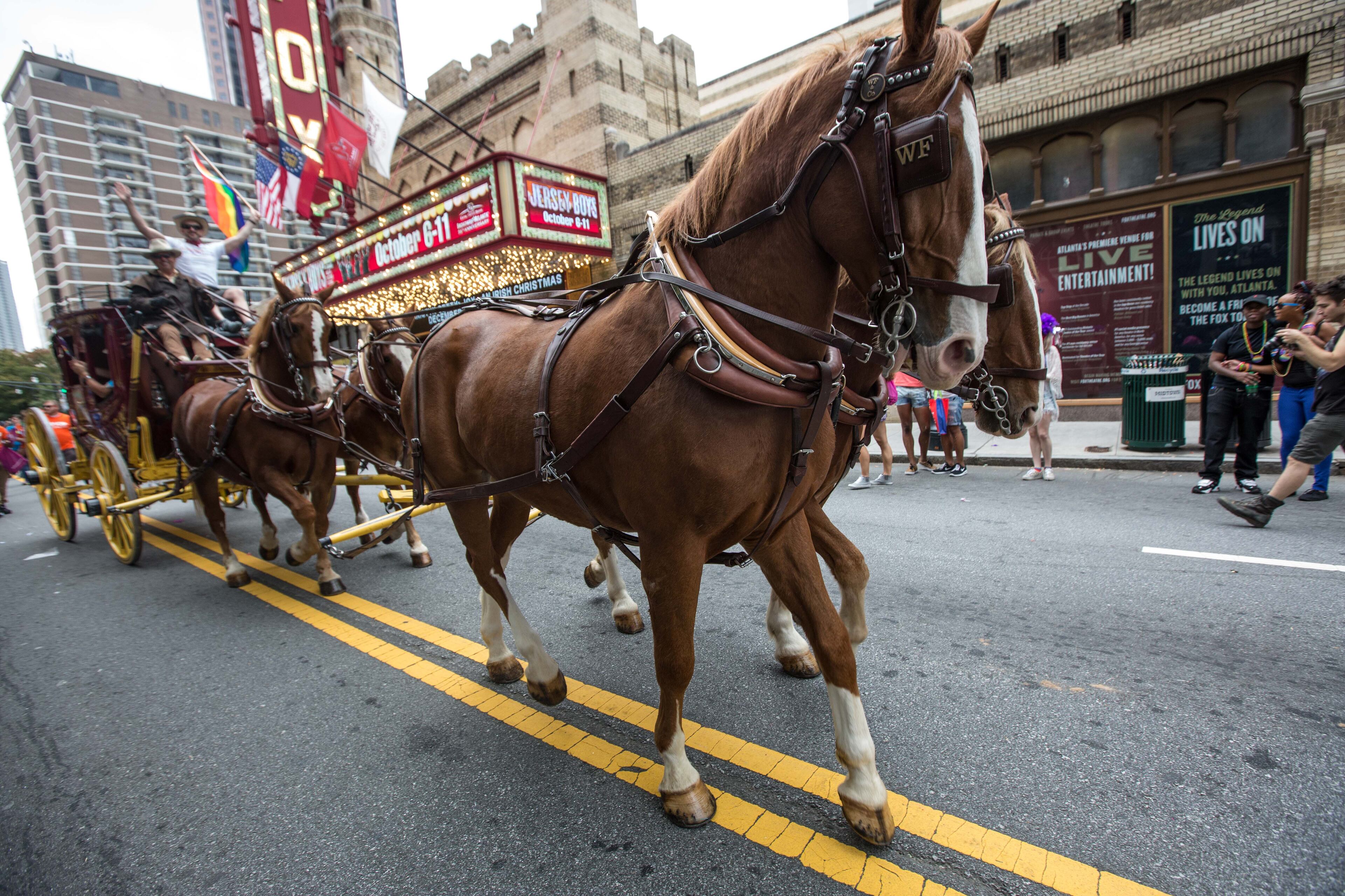 Horses pull a Wells Fargo coach during the Atlanta Pride Parade on Peachtree Street, Sunday, Oct. 11, 2015. BRANDEN CAMP/SPECIAL