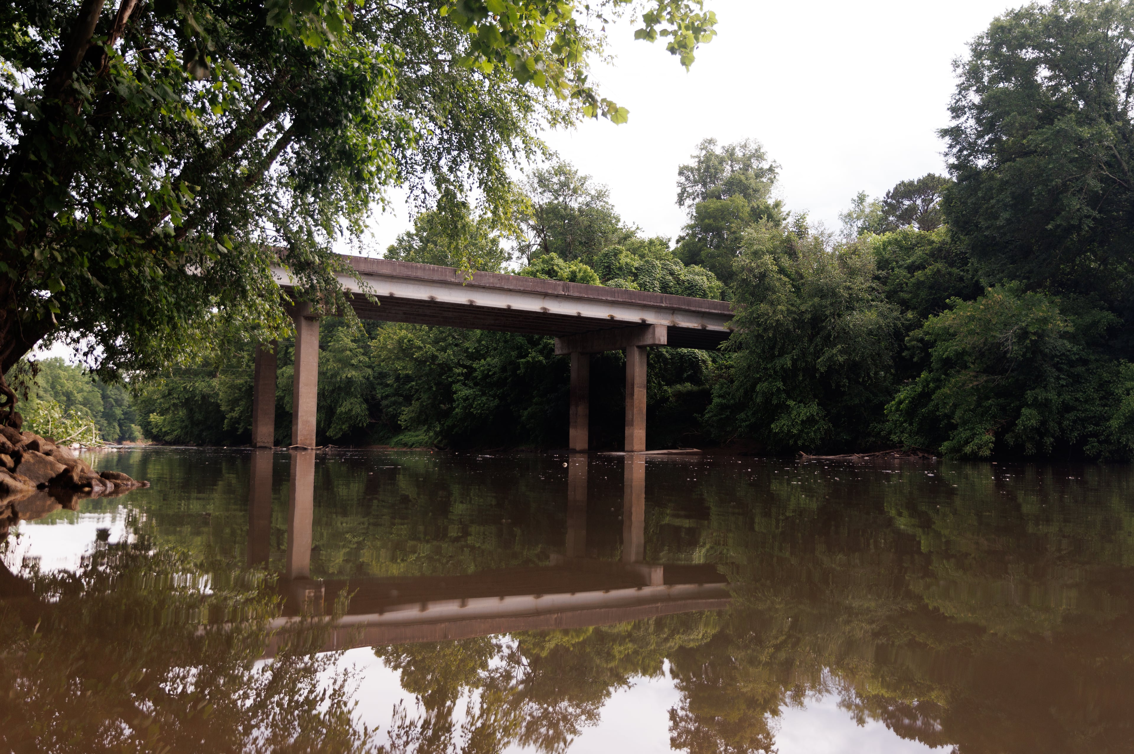 Riverkeeper warns of massive fish kill on the Chattahoochee near Atlanta